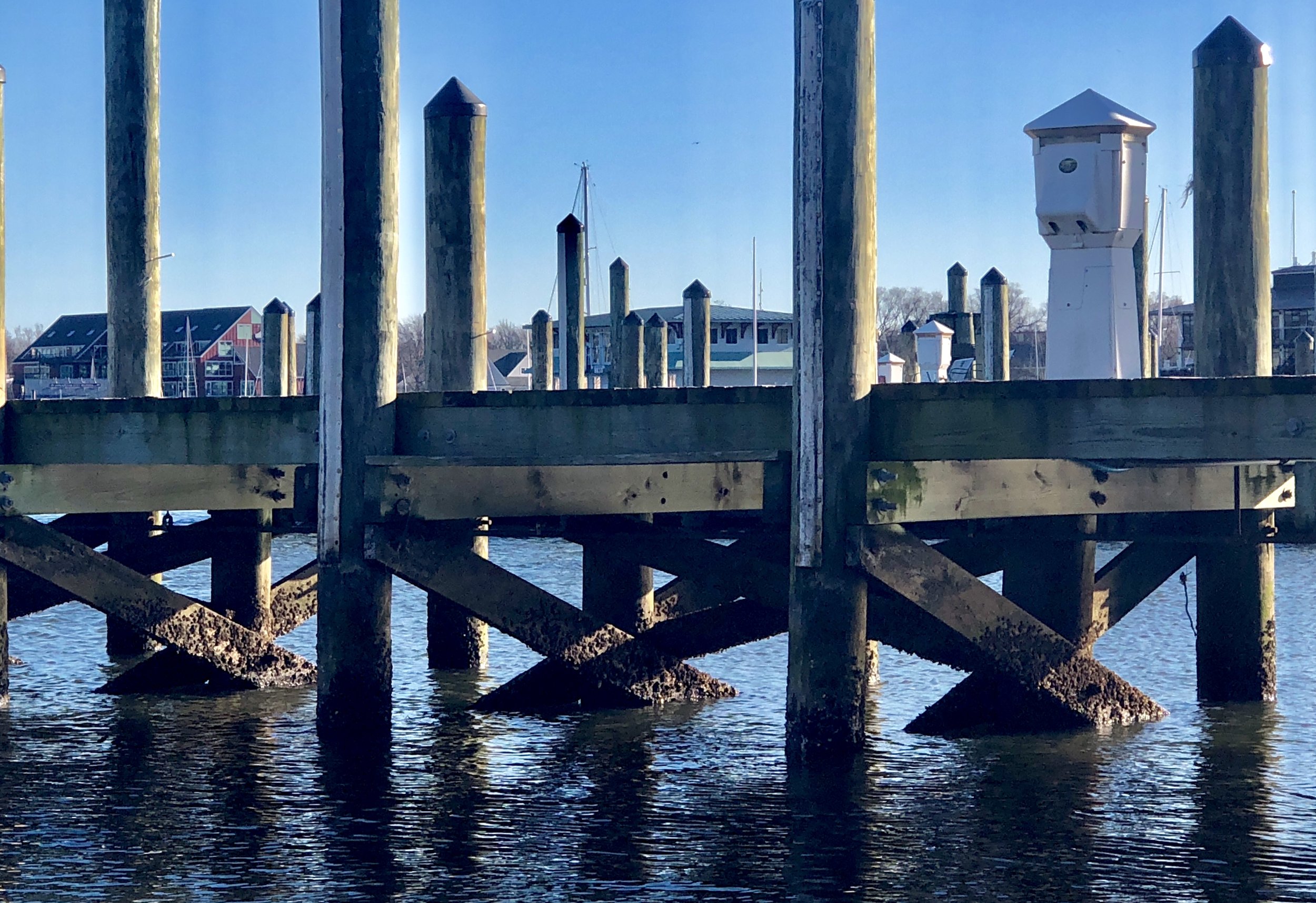 The Loop / March 5, 2019