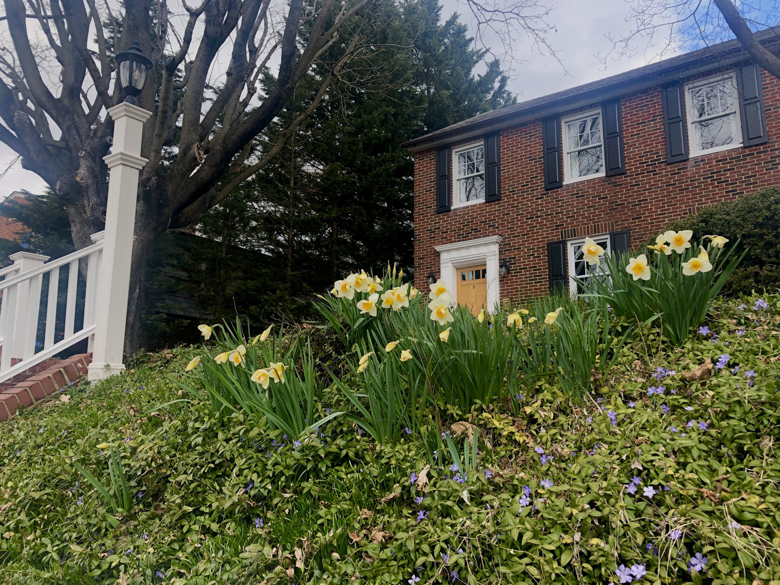 The Loop / March 26, 2019