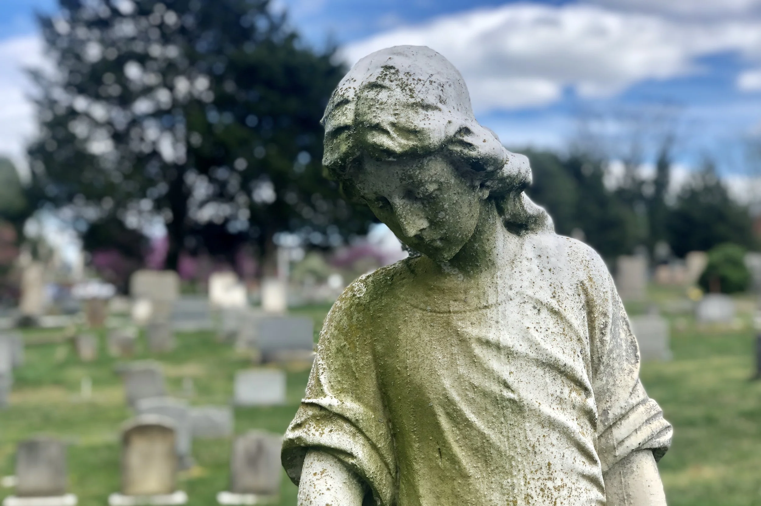 The Loop / April 16, 2019