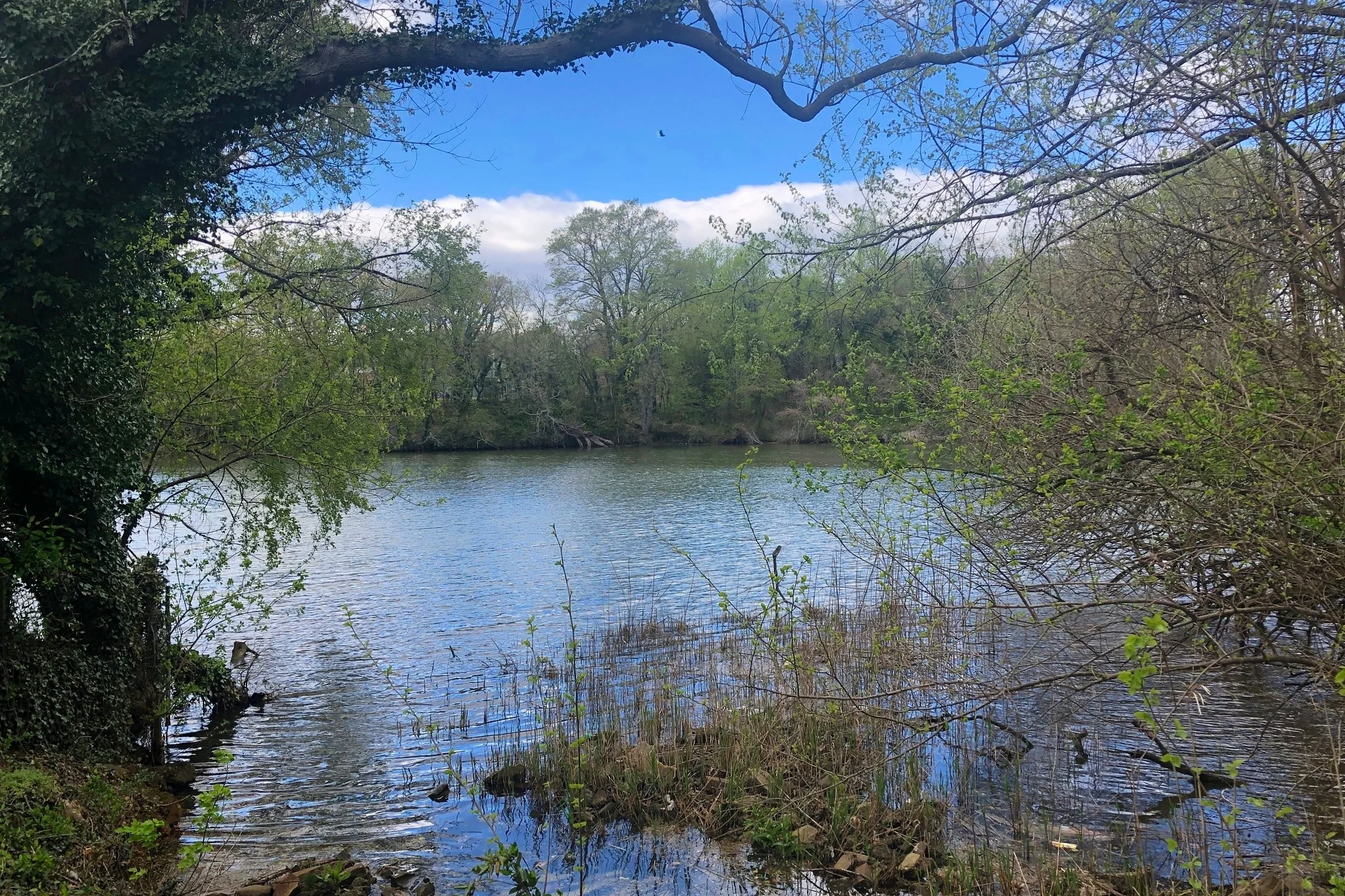 The Loop / April 23, 2019