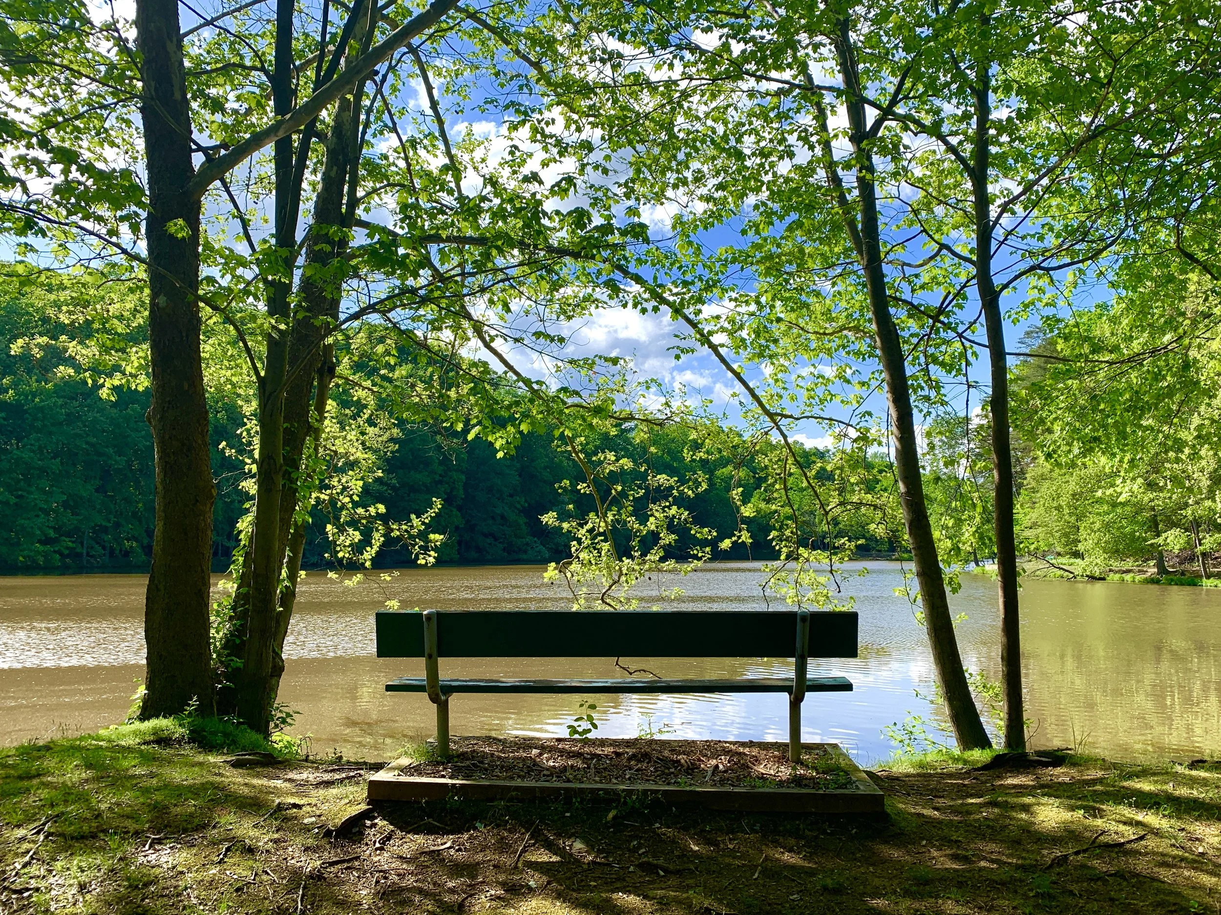 The Loop / May 14, 2019