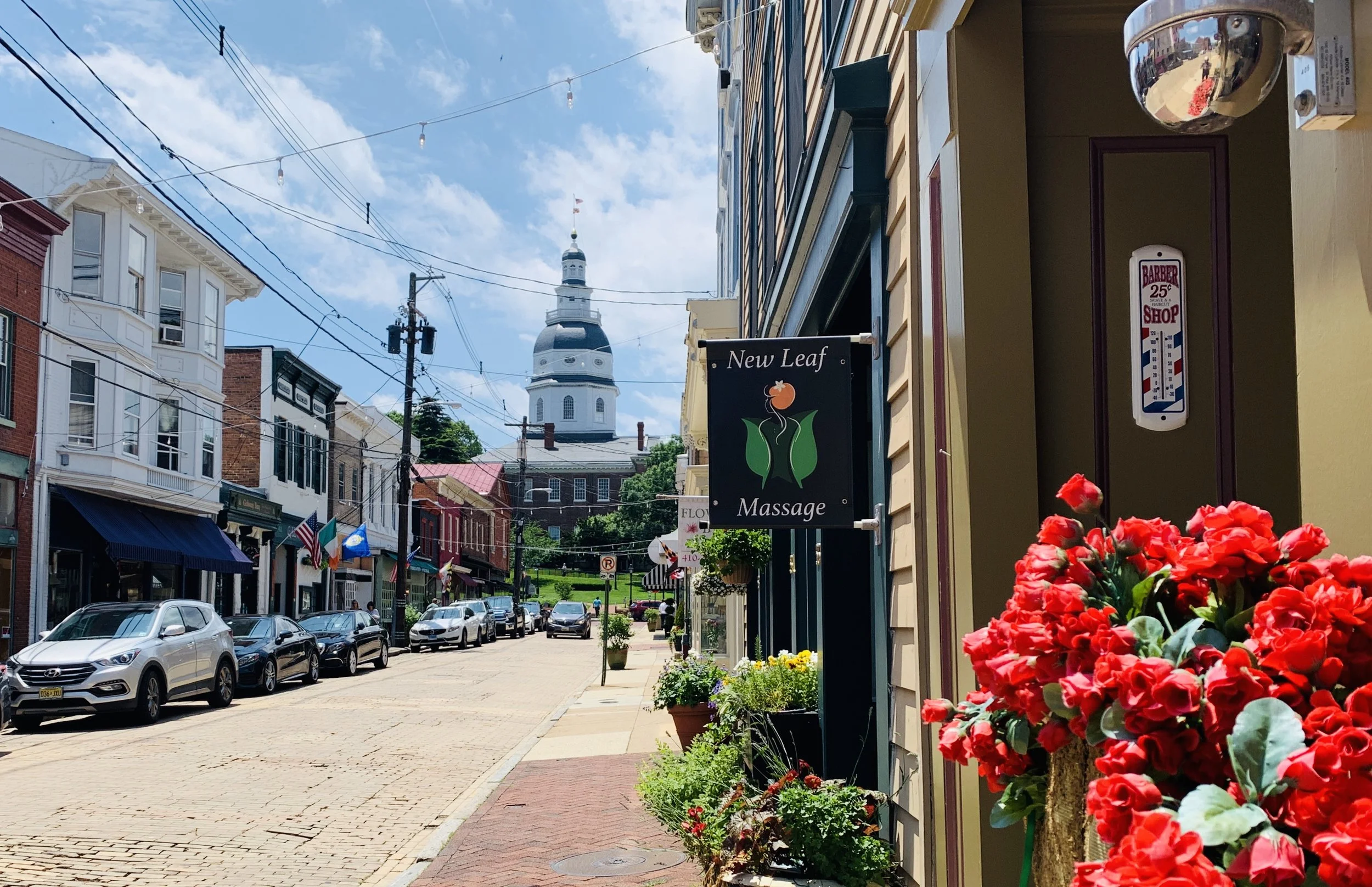 The Loop / June 11, 2019