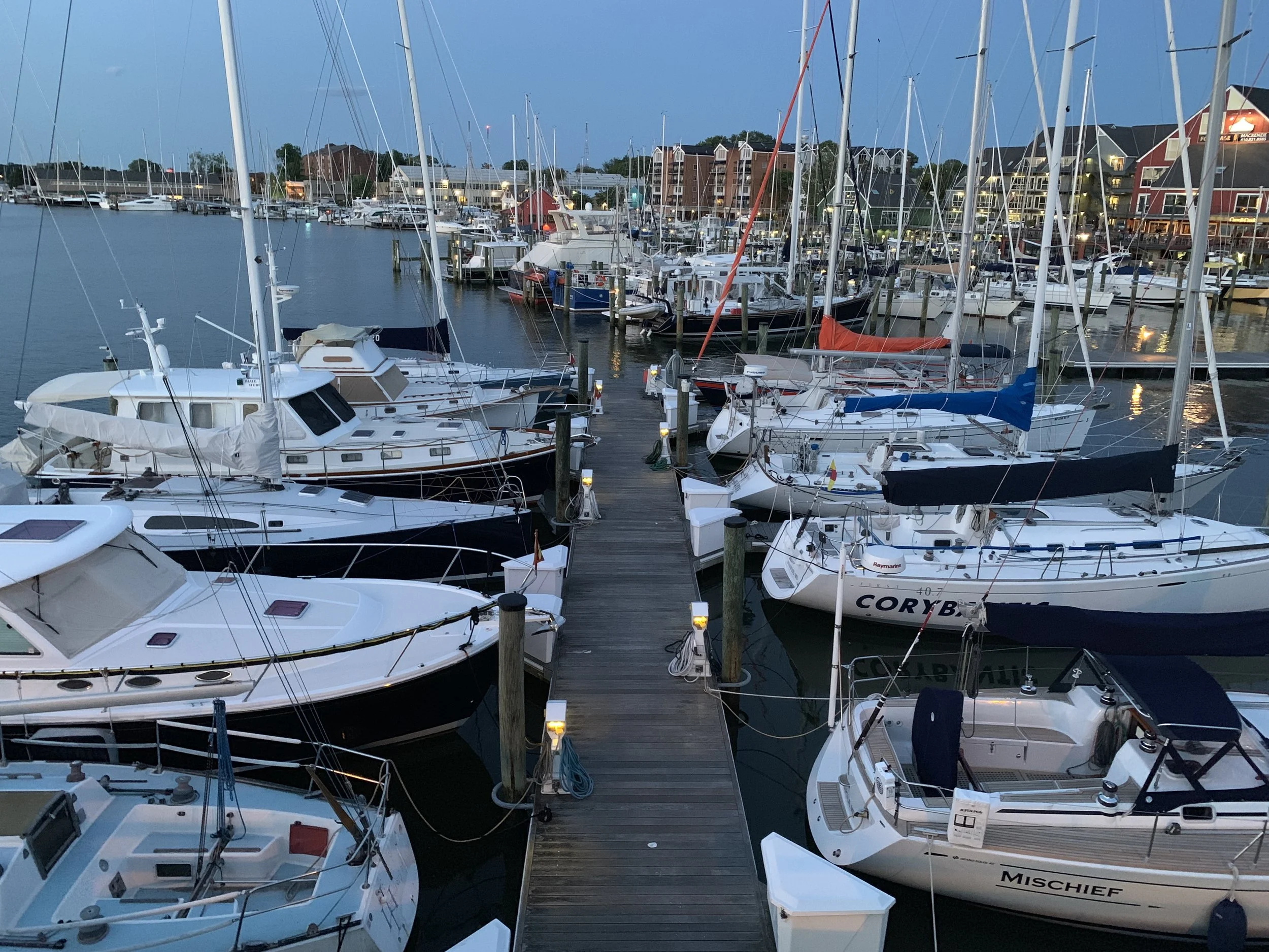 The Loop / June 4, 2019