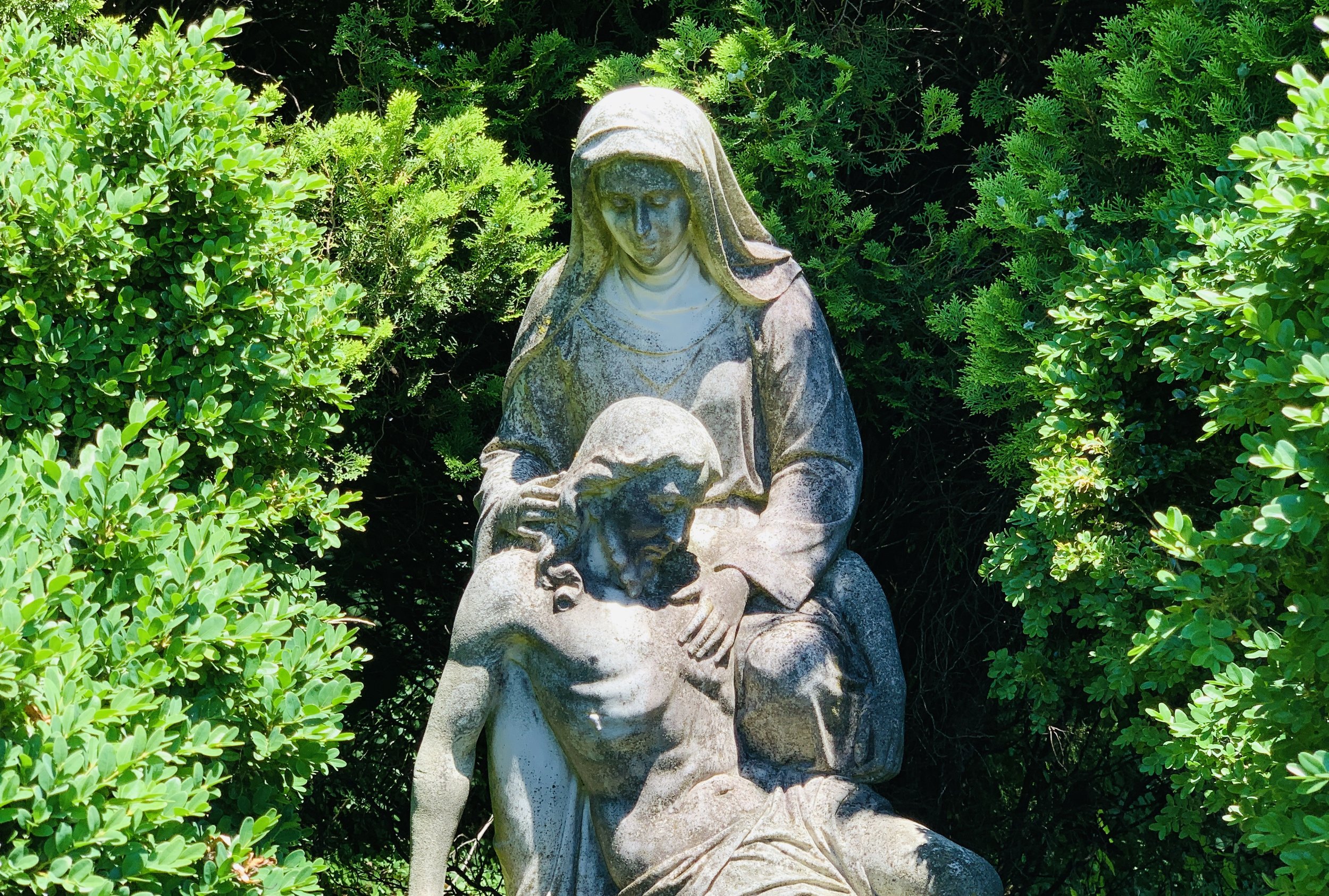 The Loop / June 25, 2019