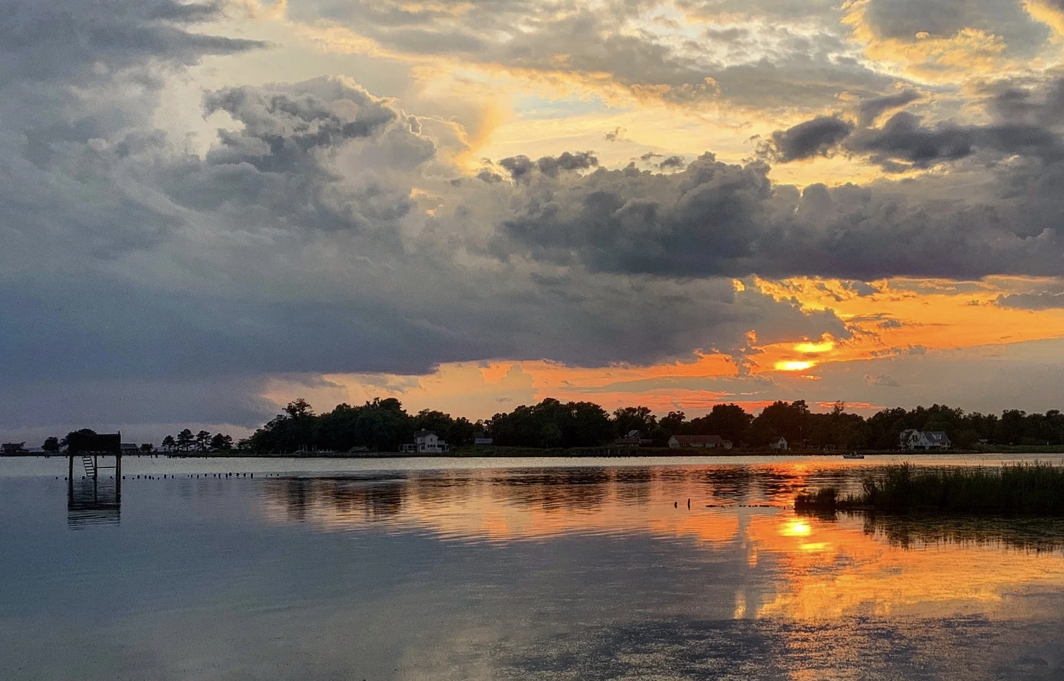 The Loop / July 30, 2019