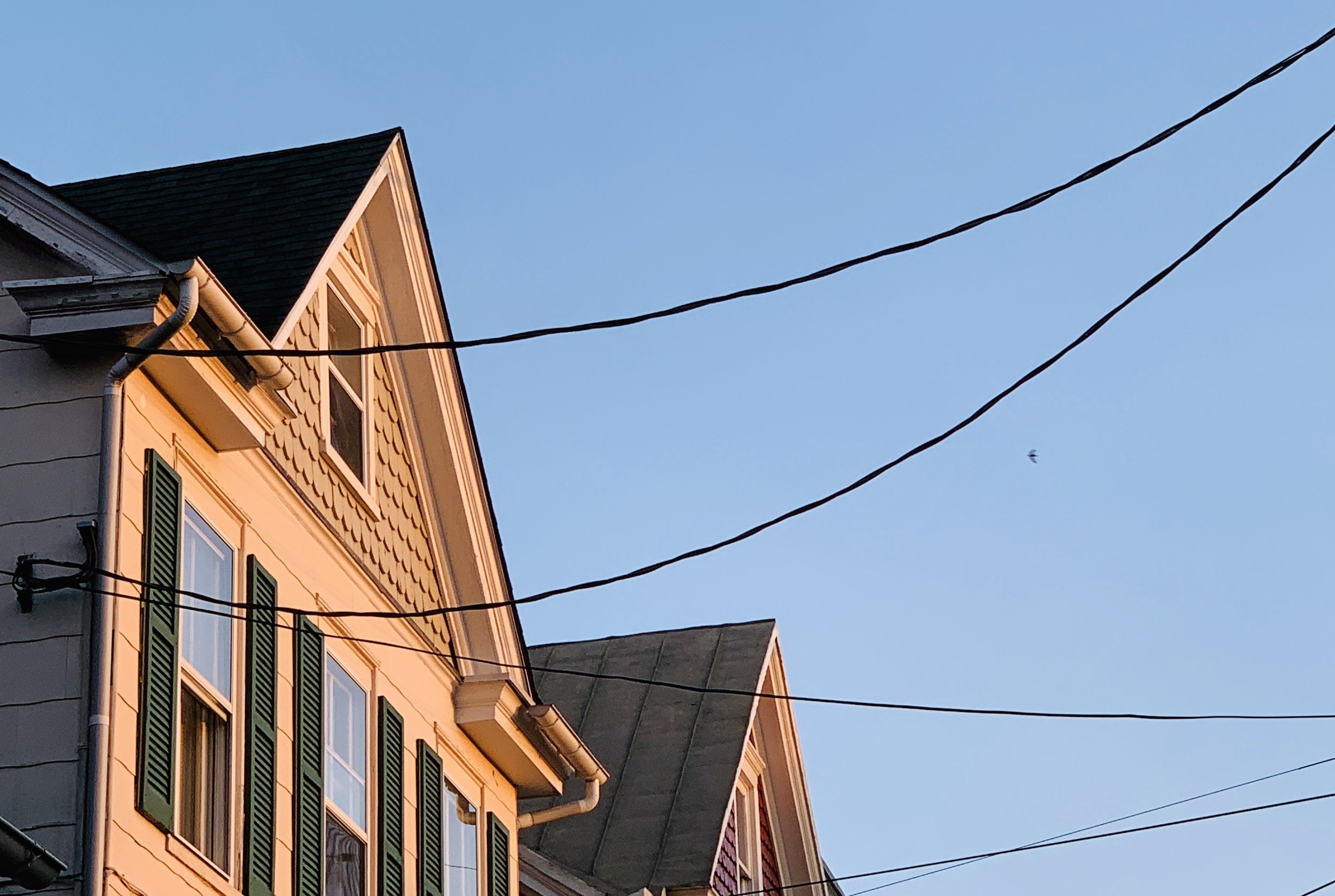 The Loop / July 23, 2019