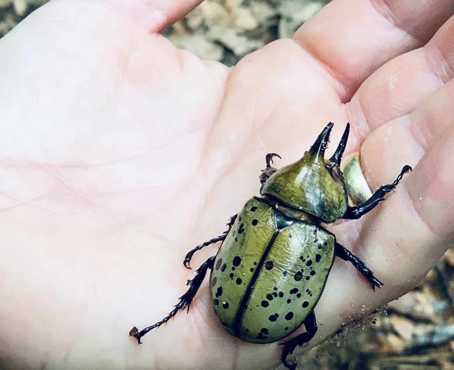 The Loop / August 27, 2019