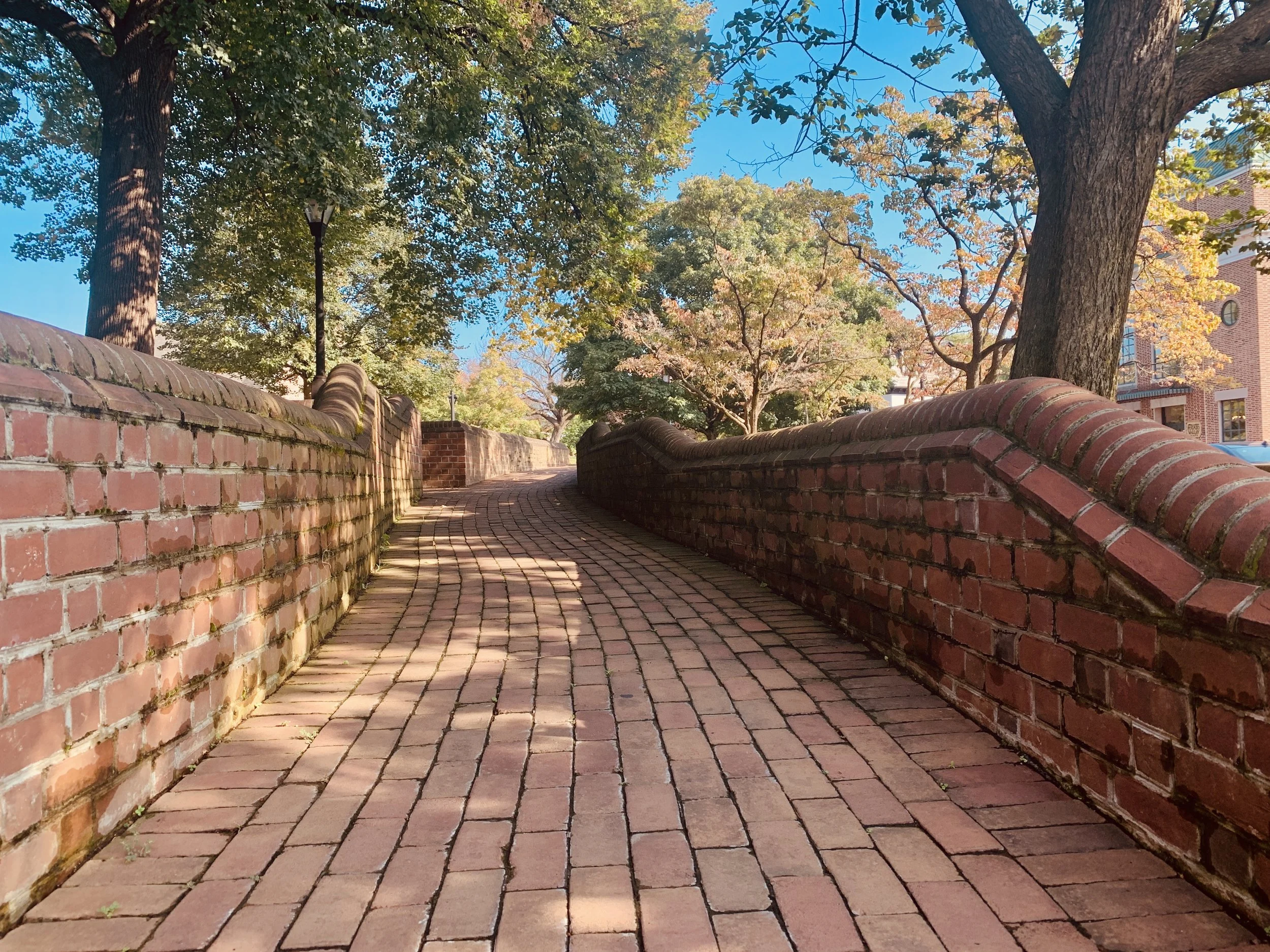 The Loop / October 8, 2019