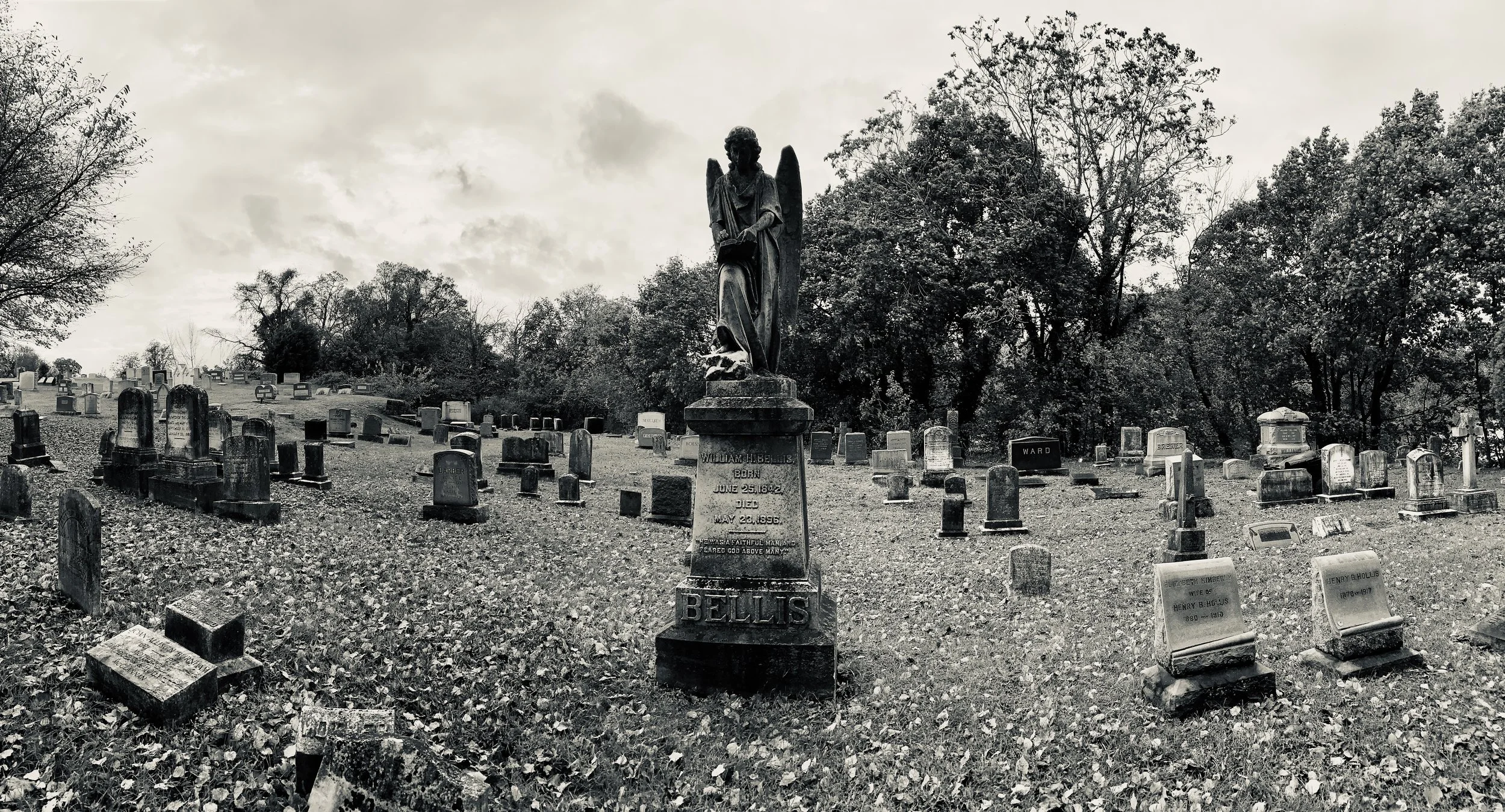 The Loop / November 5, 2019