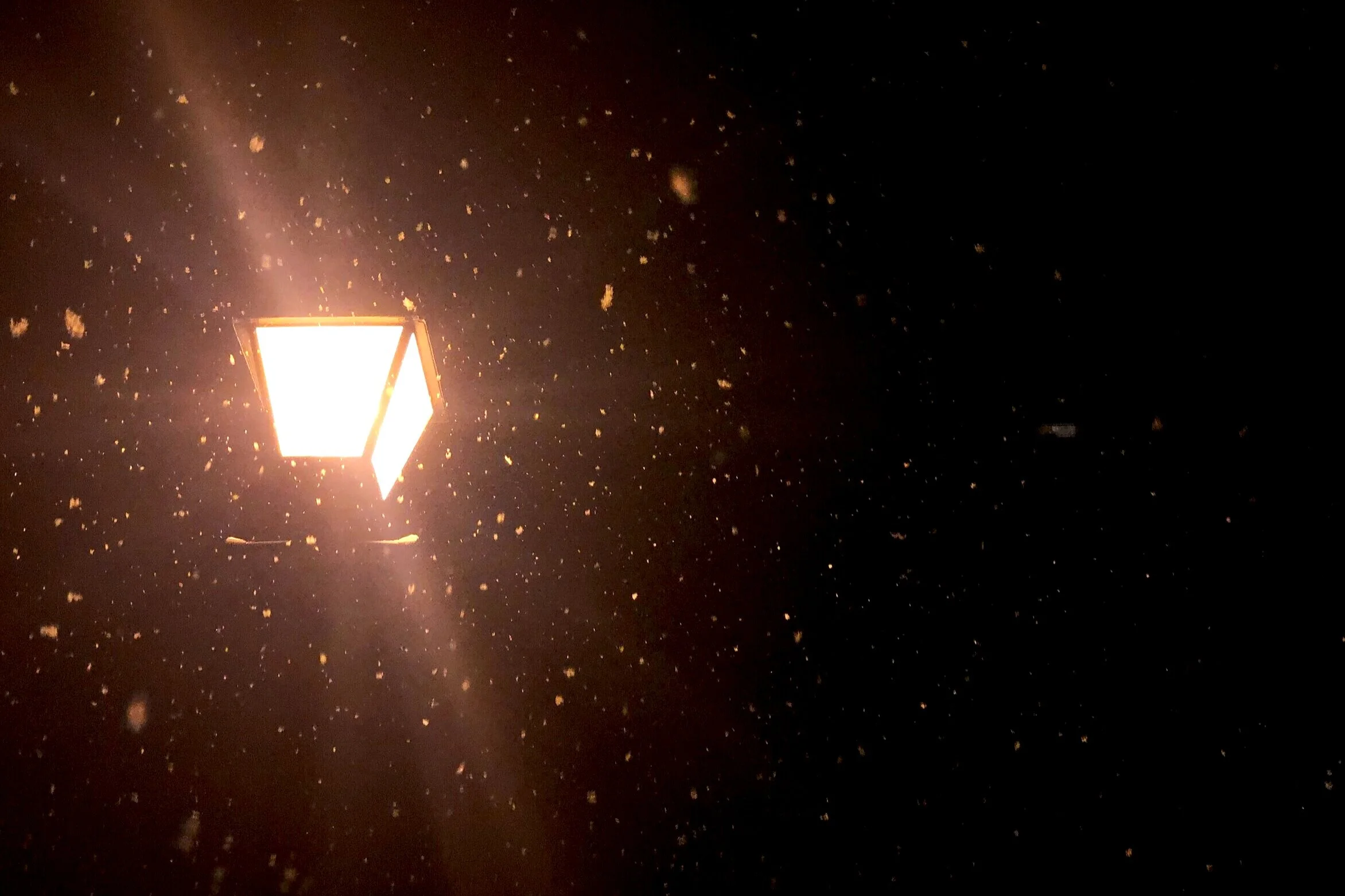 The Loop / November 26, 2019