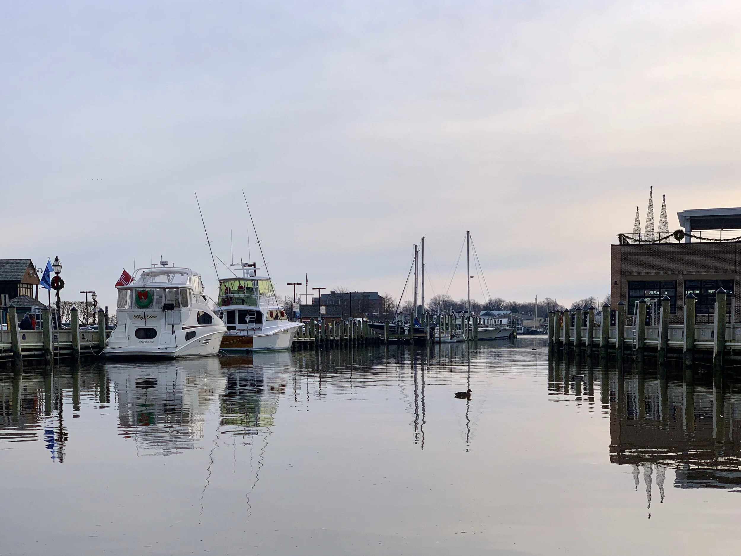 The Loop / December 24, 2019