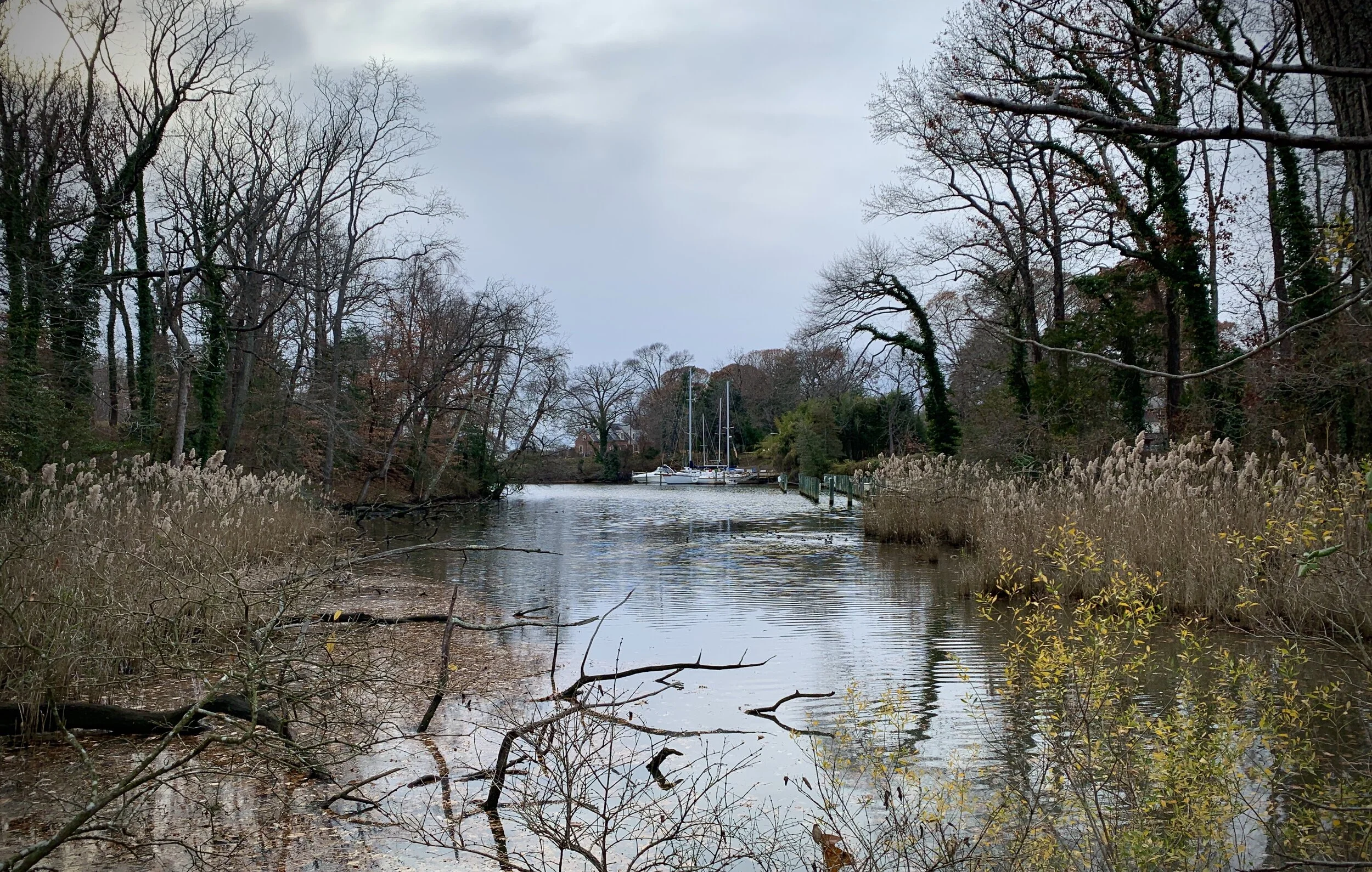 The Loop / December 31, 2019