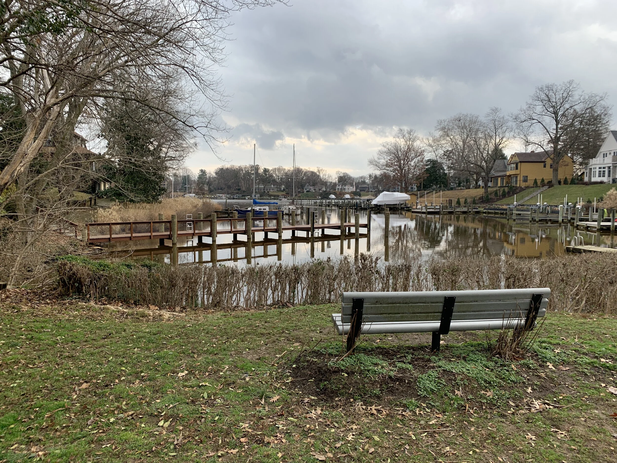 The Loop / January 21, 2020