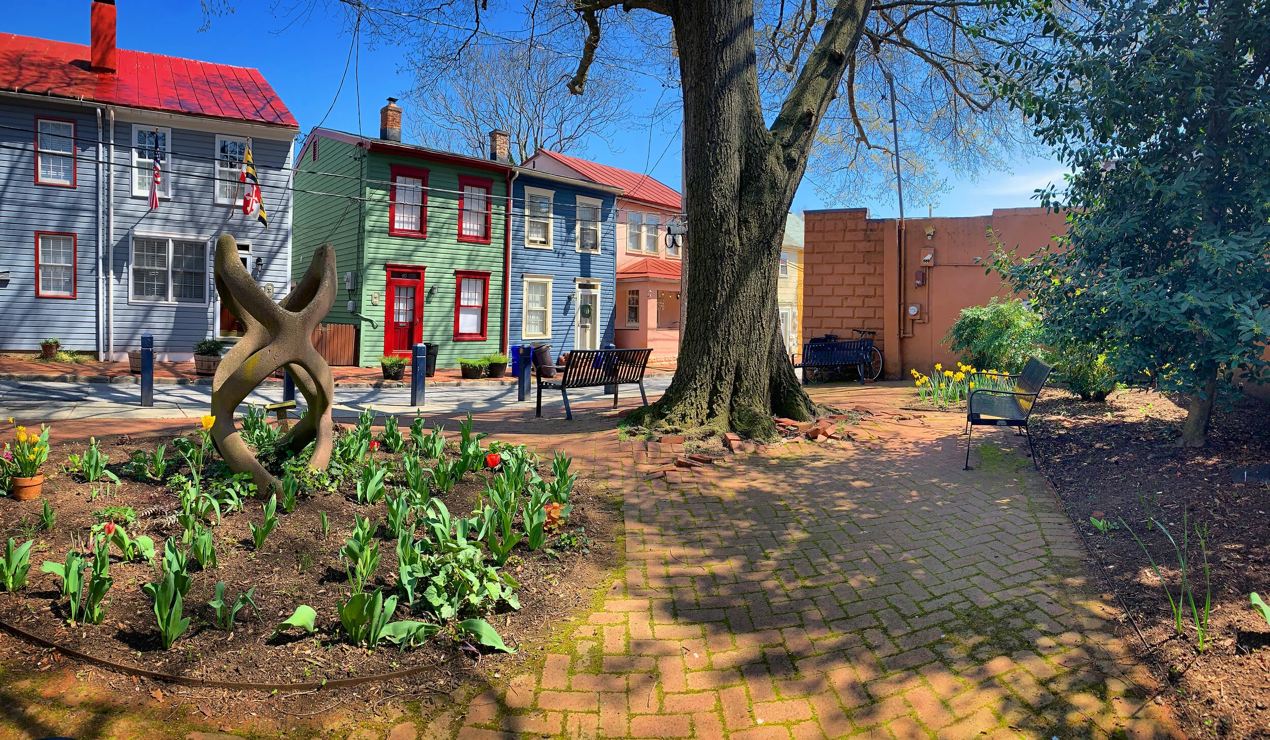 The Loop / April 21, 2020   