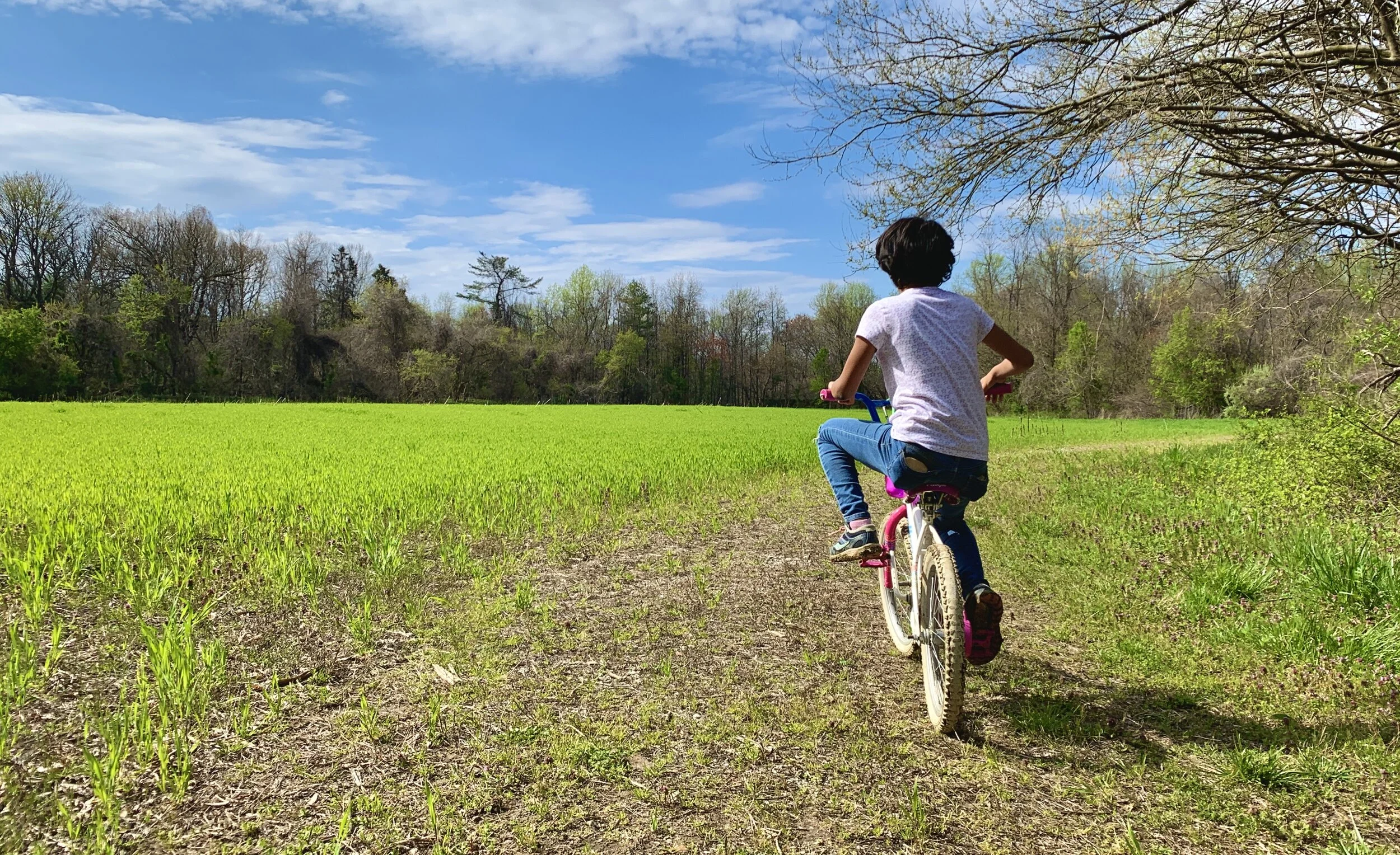 The Loop / May 5, 2020   