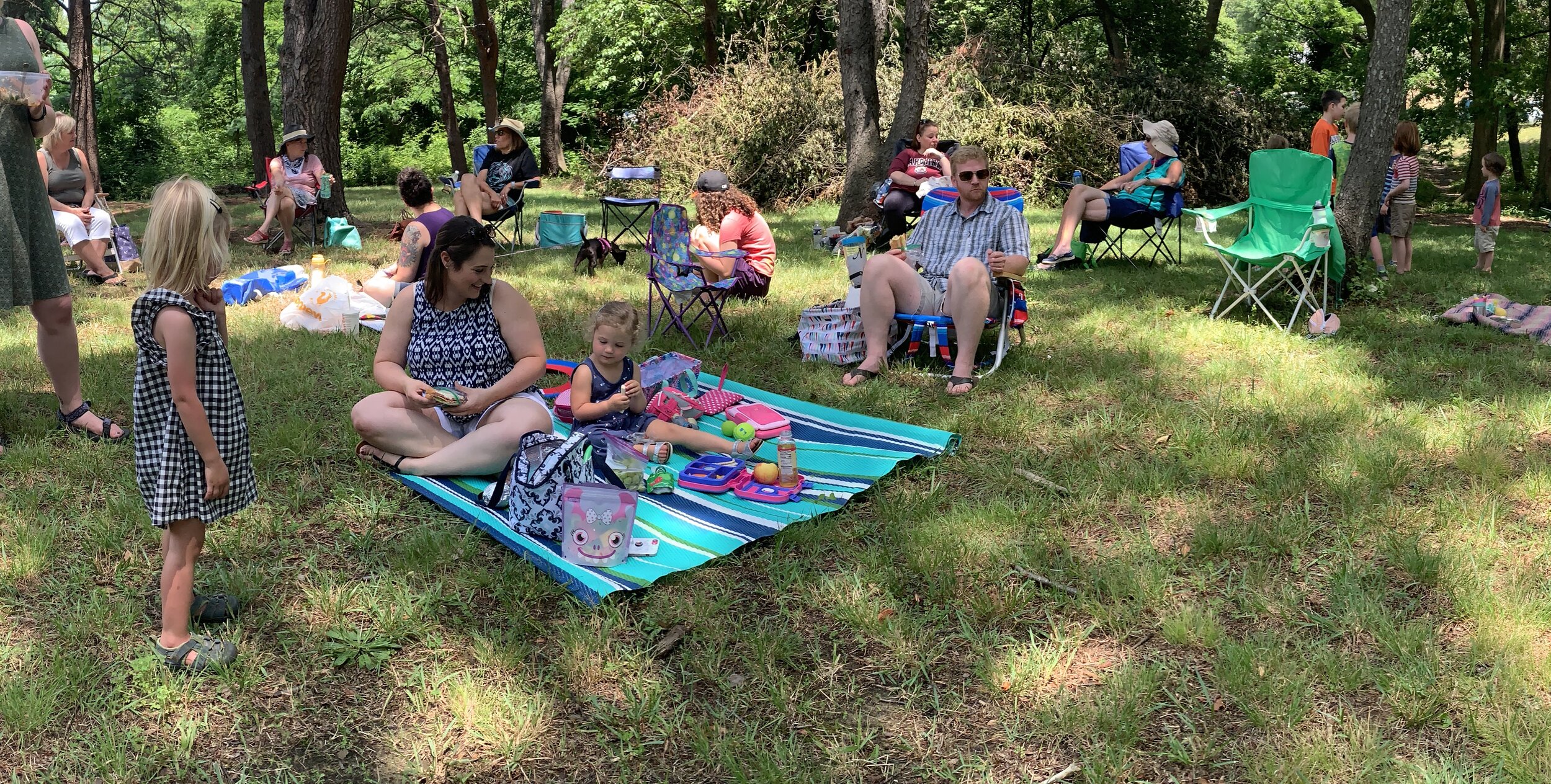 The Loop / June 30, 2020      