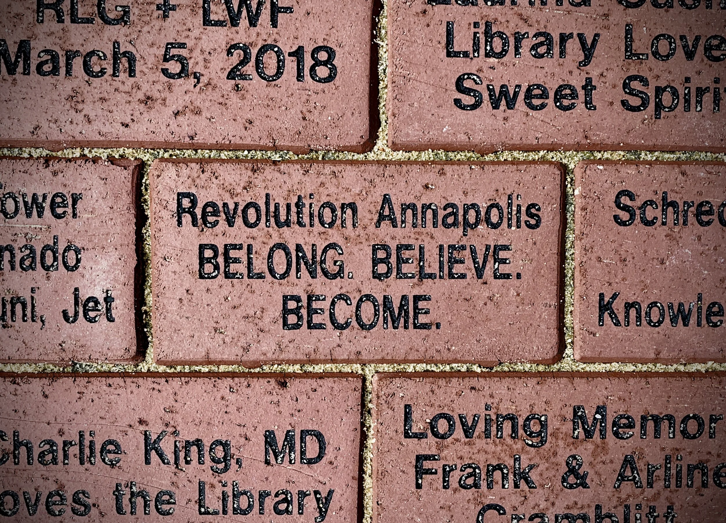 The Loop / July 14, 2020    