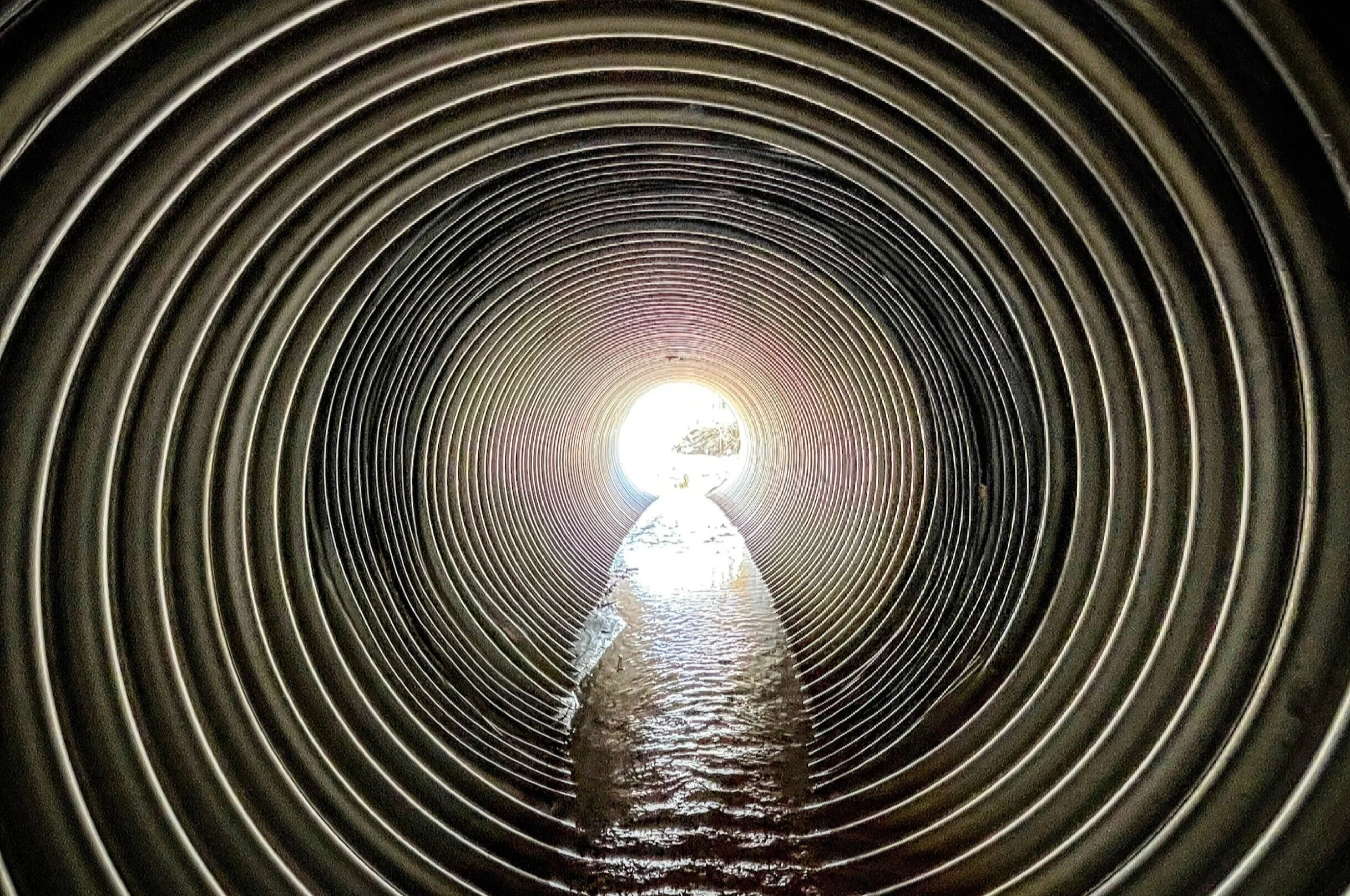 The Loop / March 30, 2021 