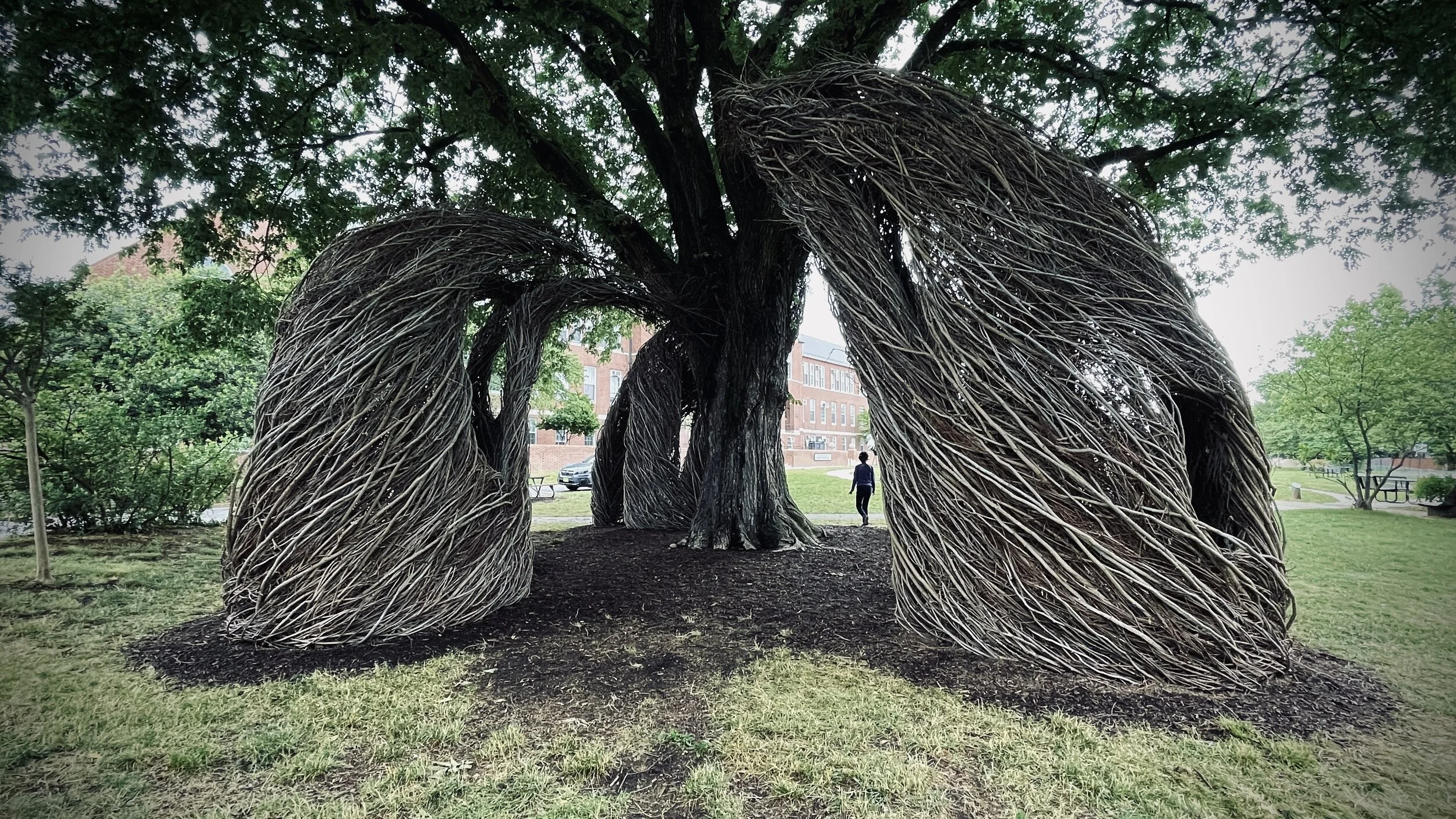 The Loop / June 1, 2021 