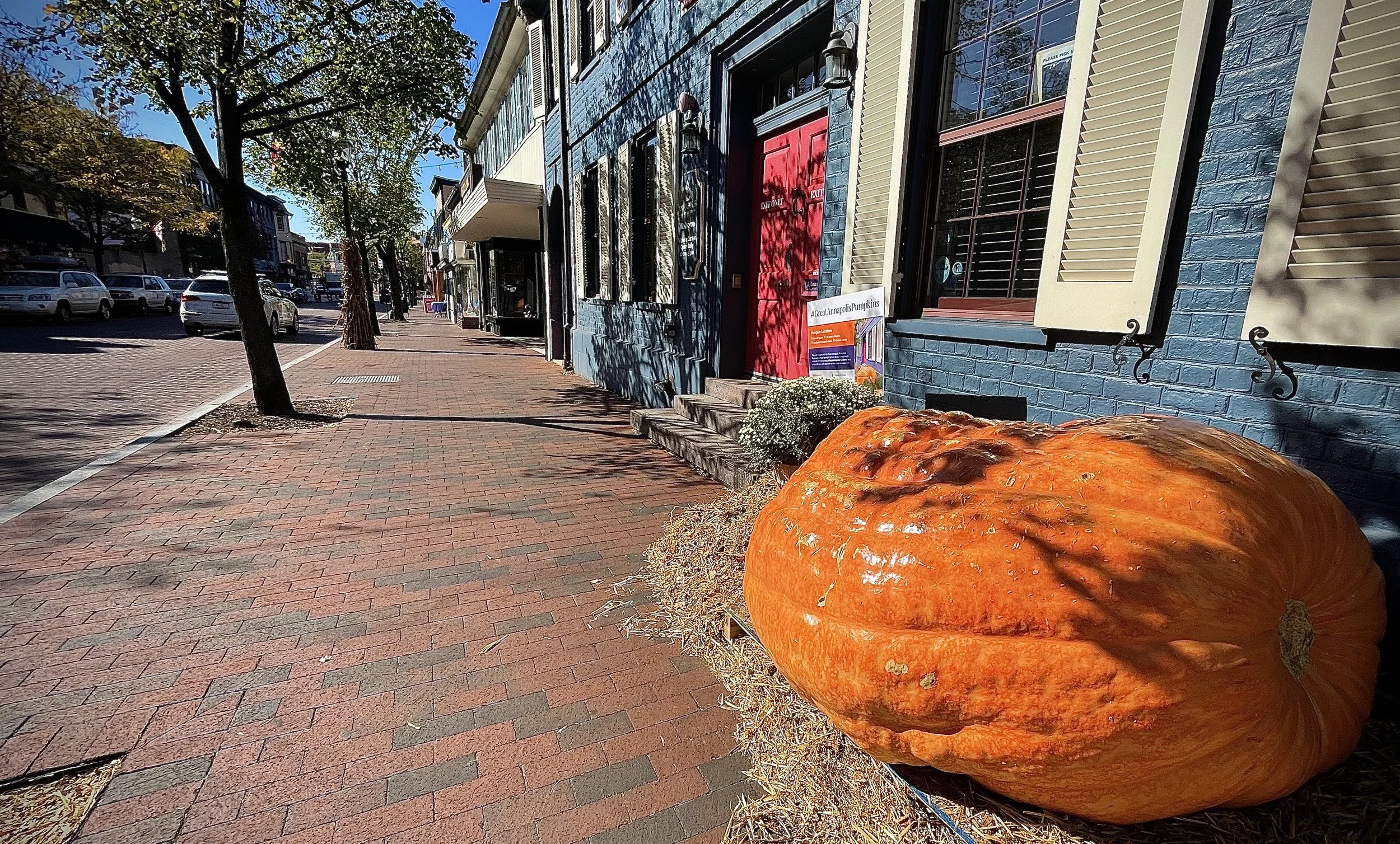 The Loop / October 26, 2021   
