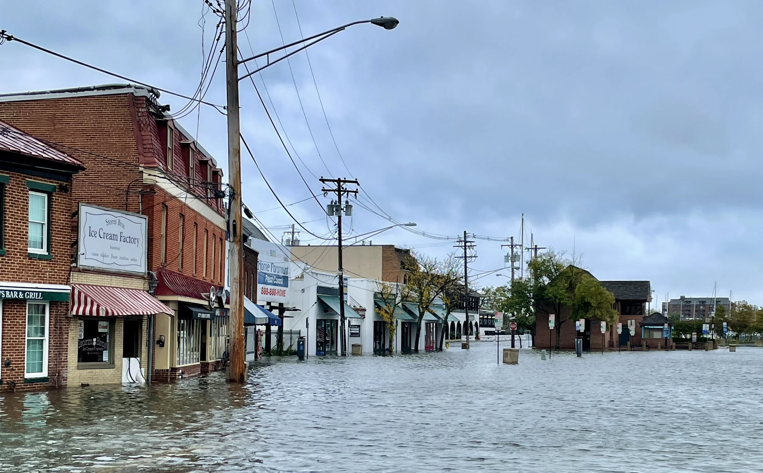 The Loop / November 2, 2021  