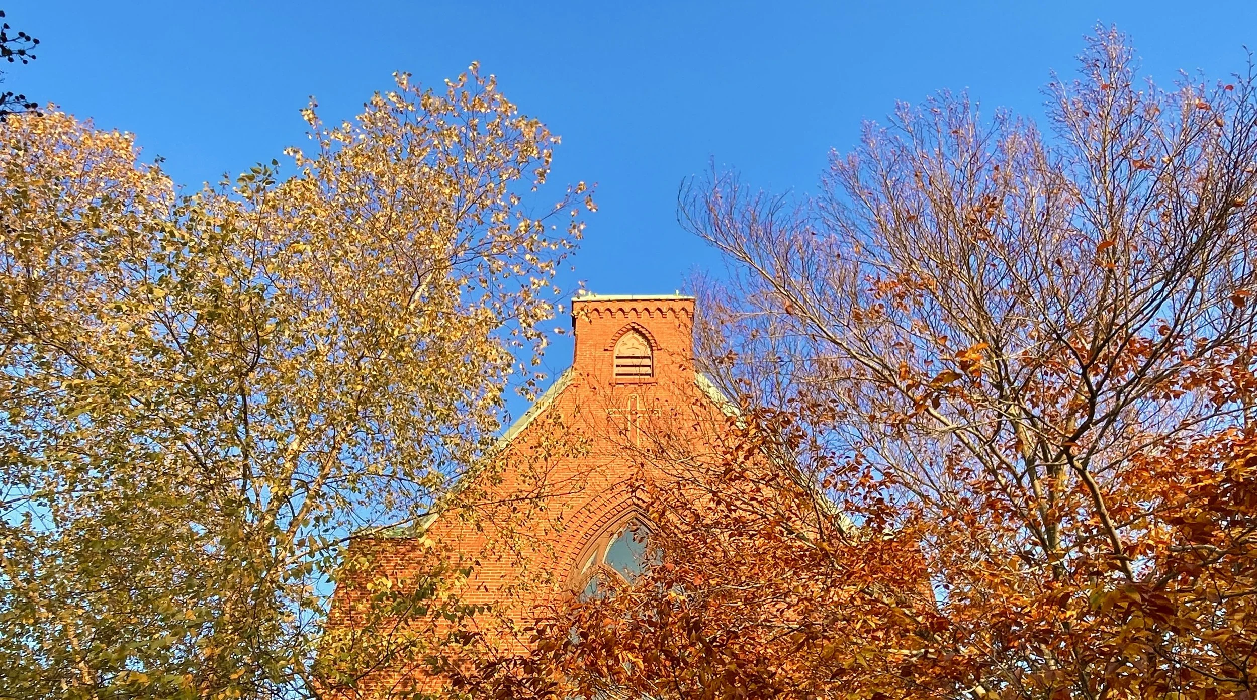 The Loop / November 9, 2021   