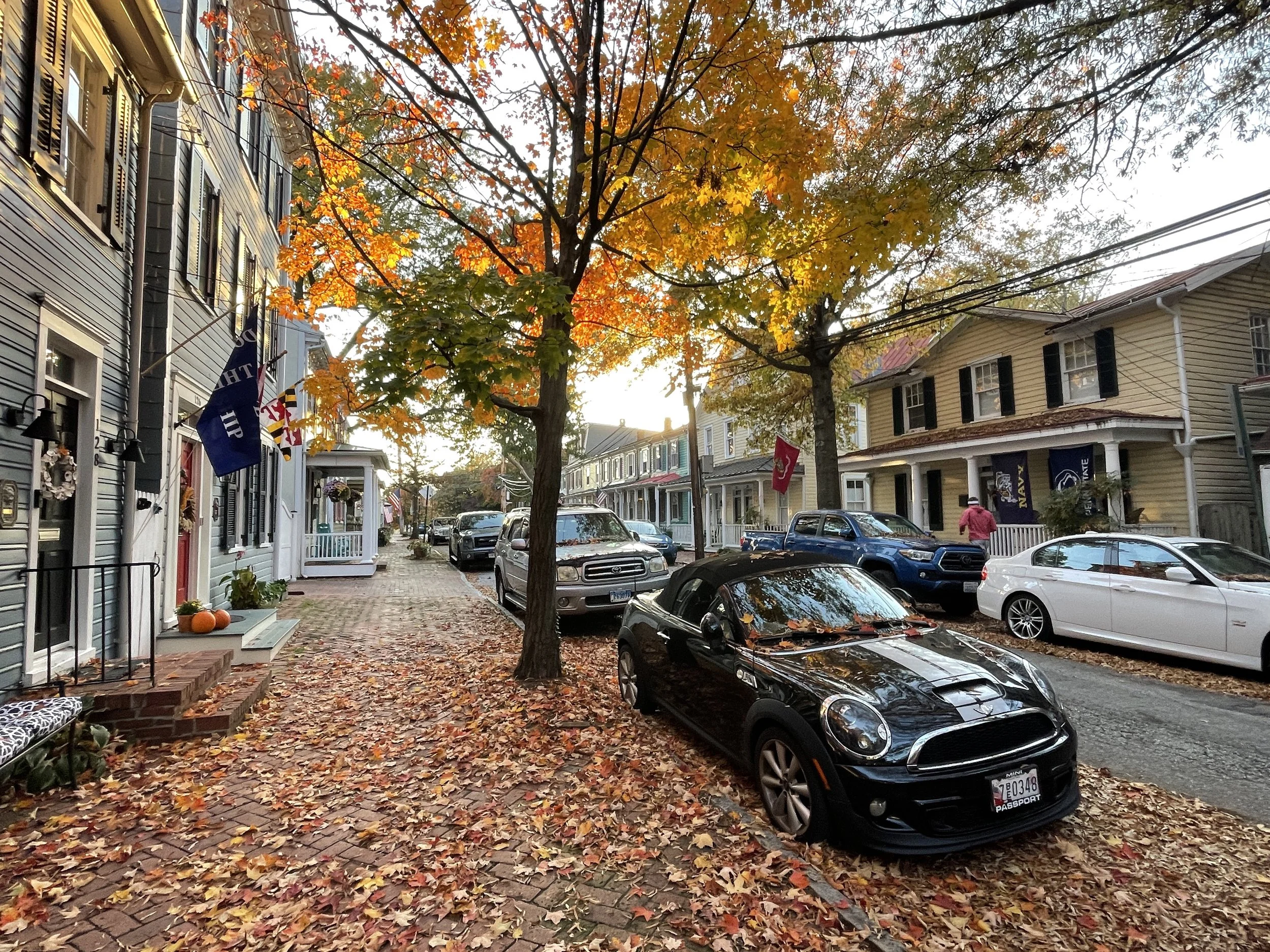 The Loop / November 23, 2021  