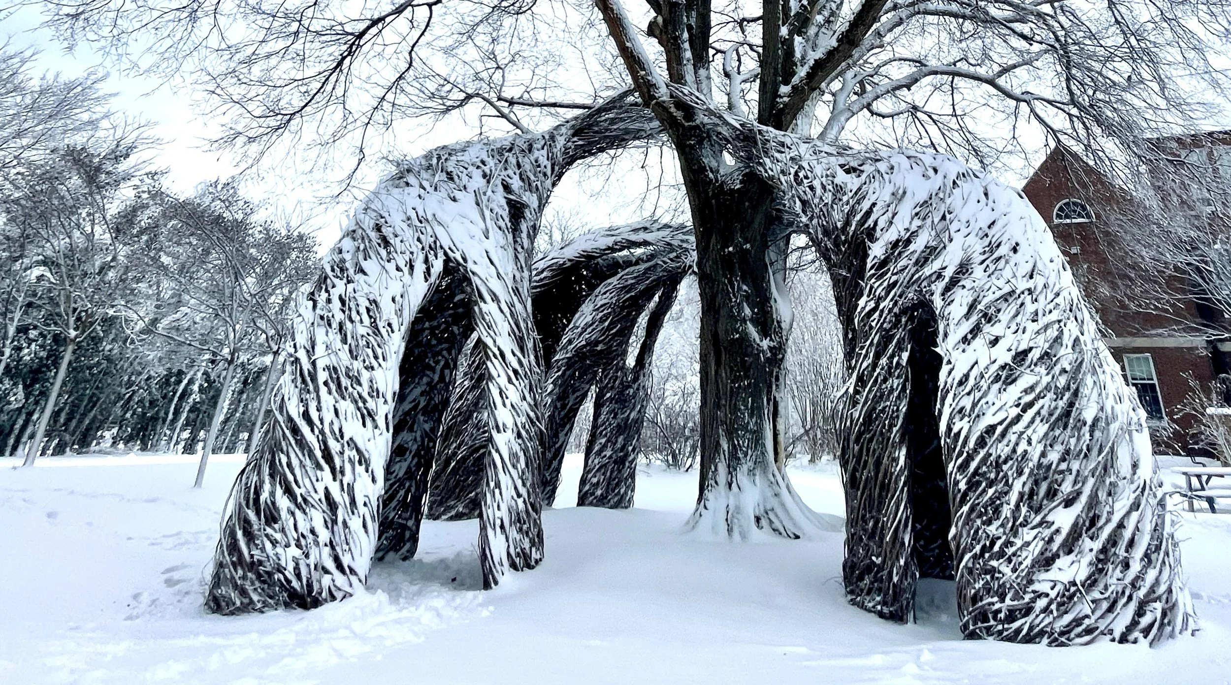 The Loop / January 11, 2022   