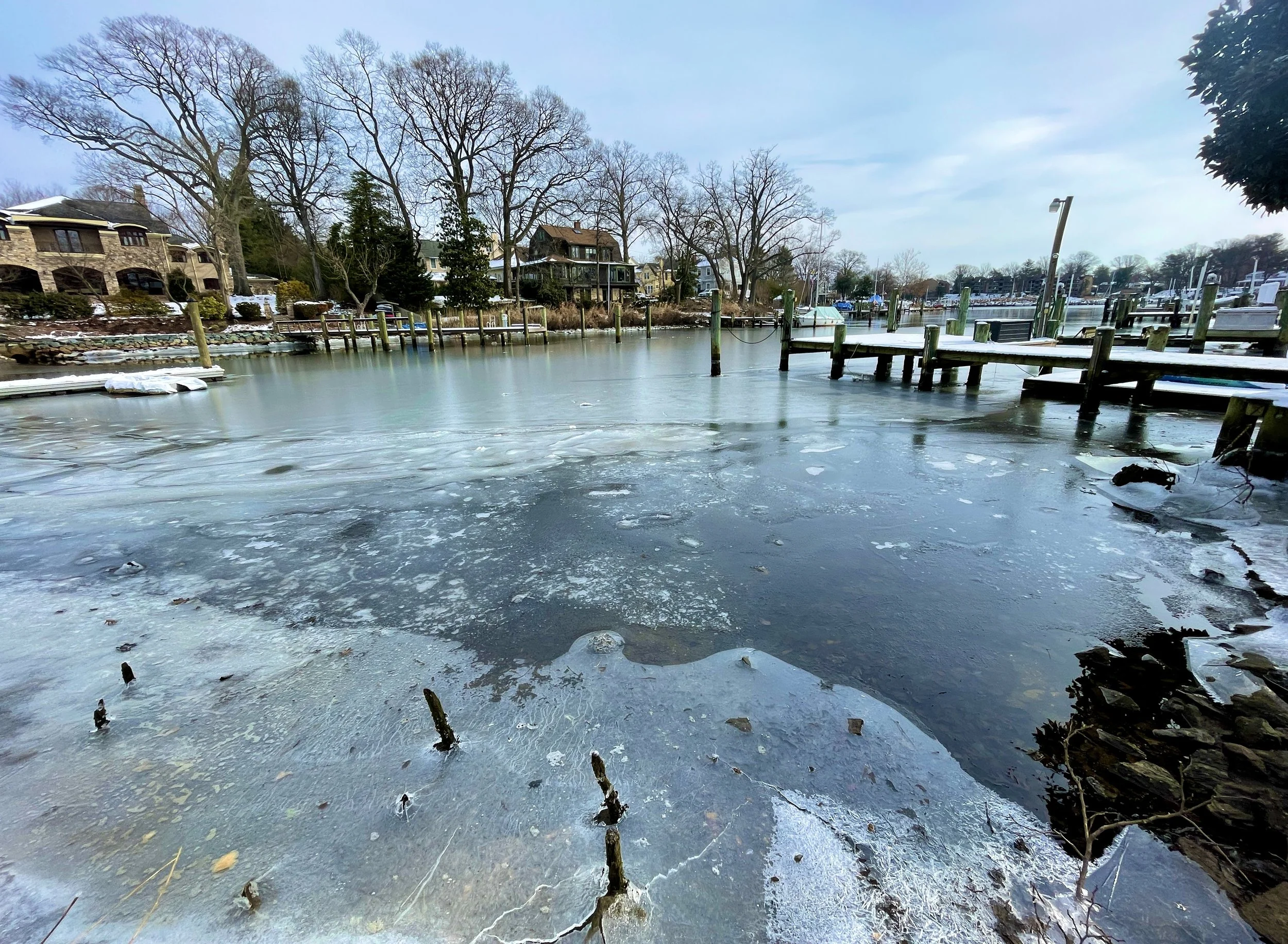 The Loop / February 8, 2022    