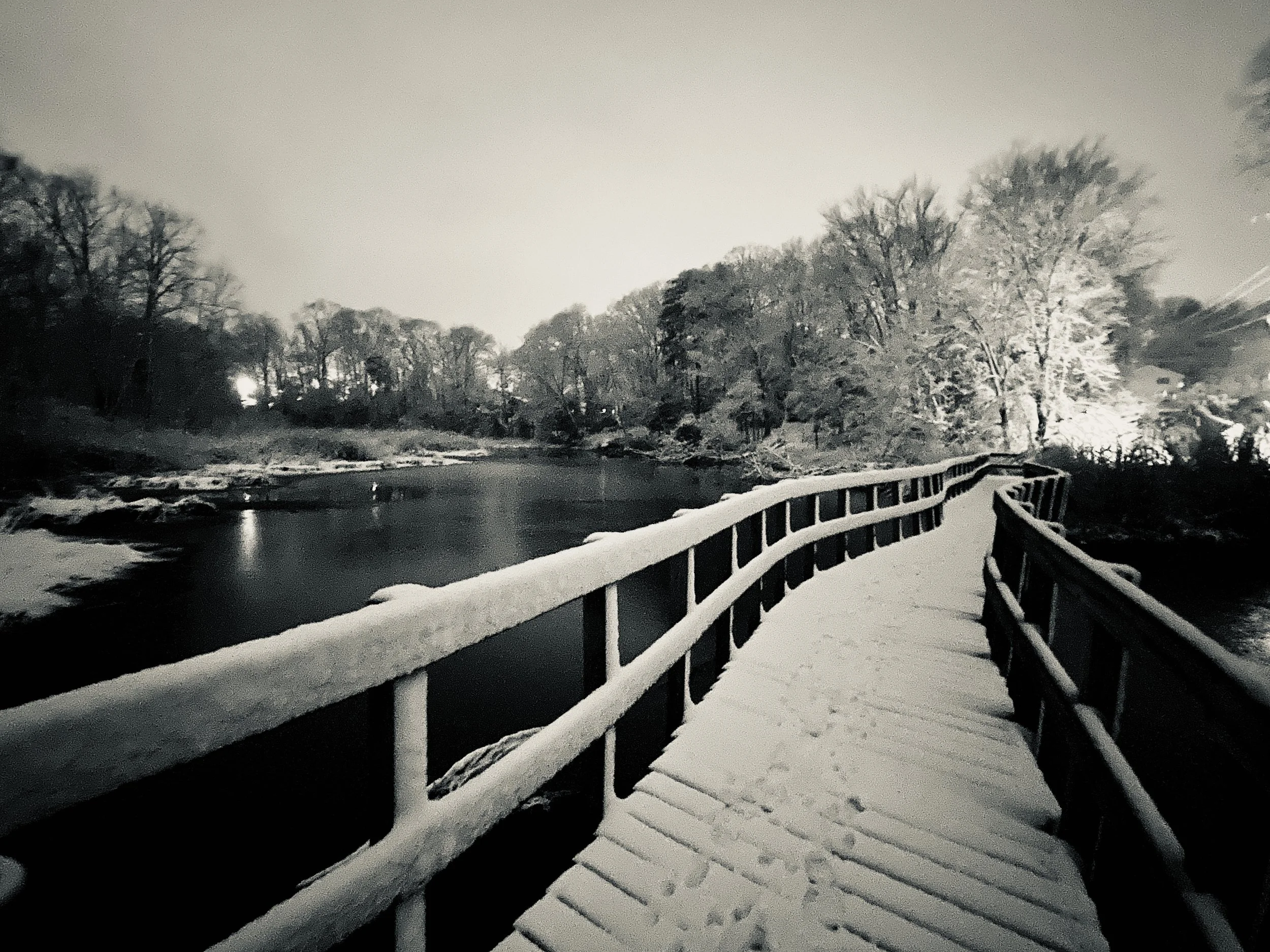 The Loop / February 15, 2022    