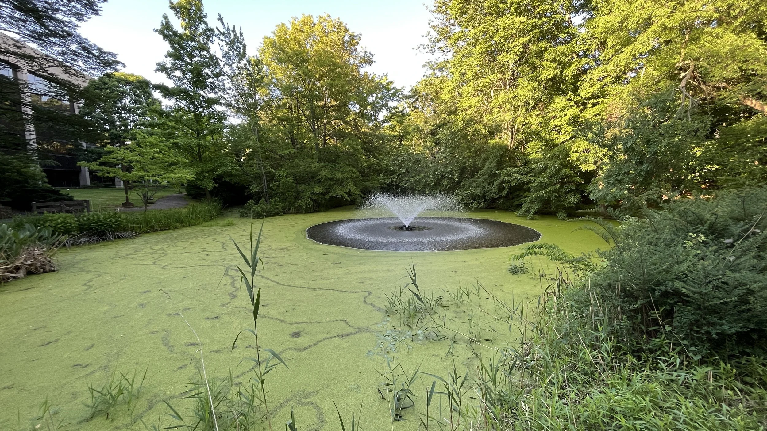 The Loop / June 14, 2022   