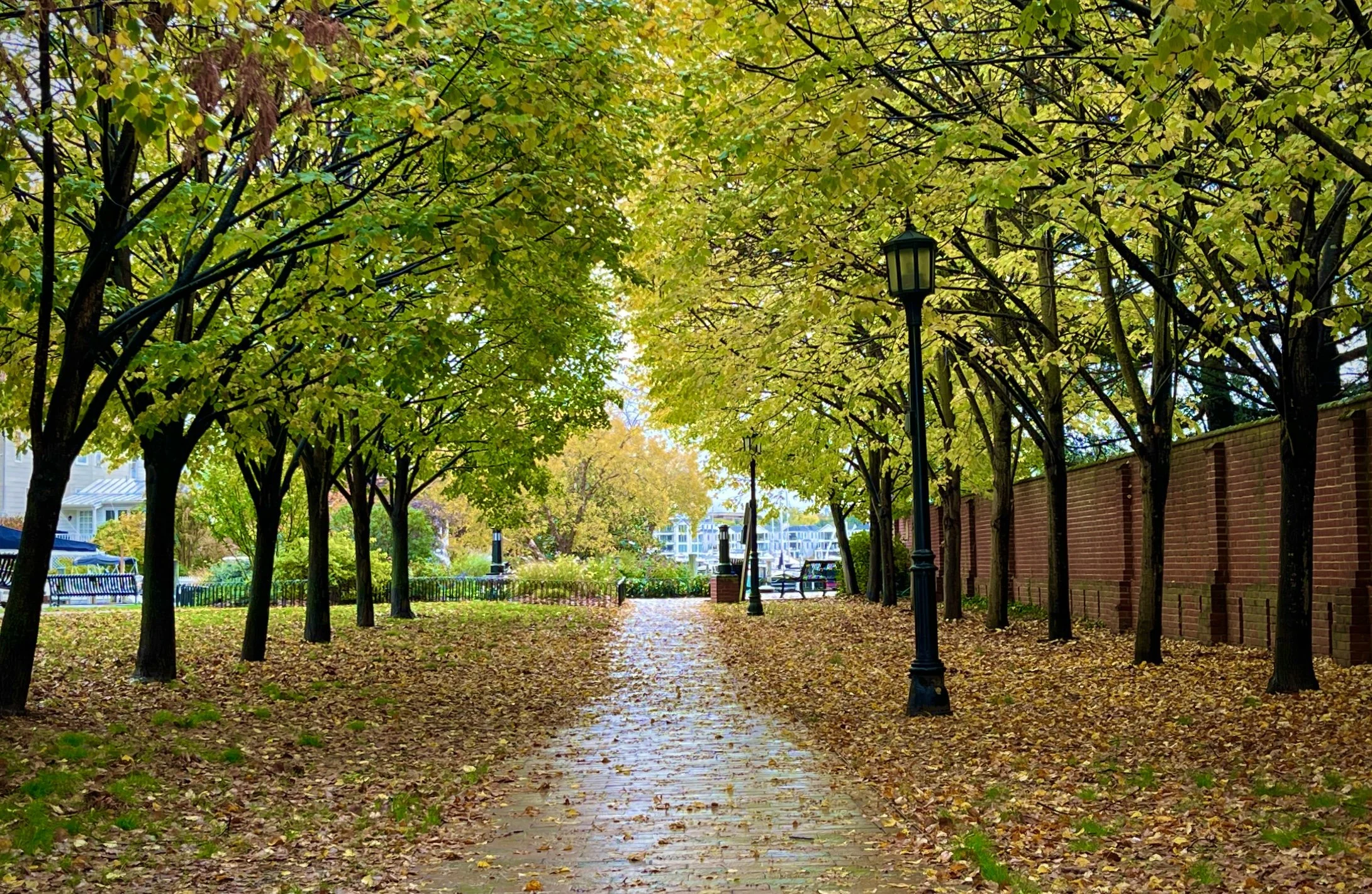 The Loop / November 1, 2022  