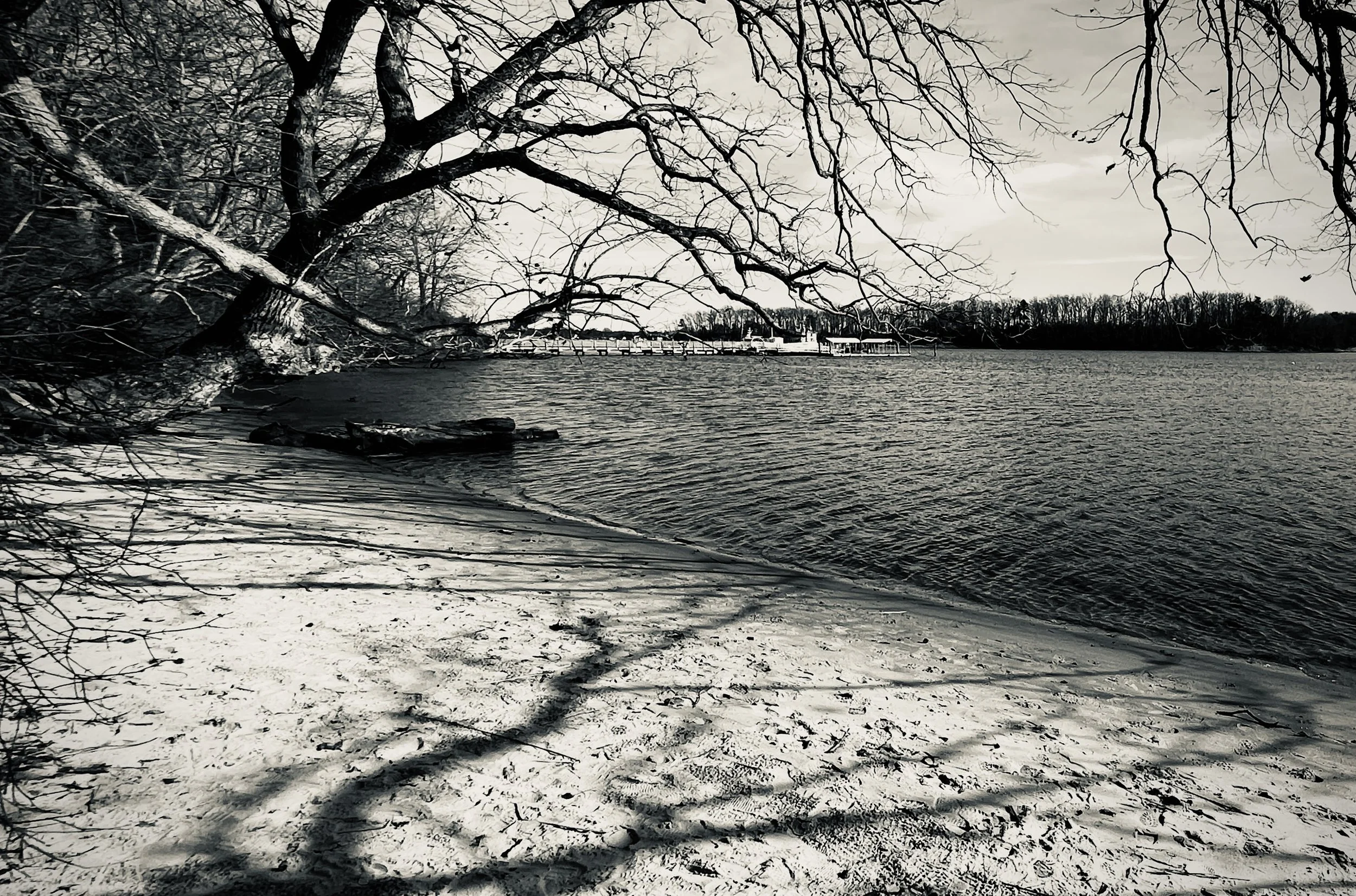 The Loop / January 31, 2023  