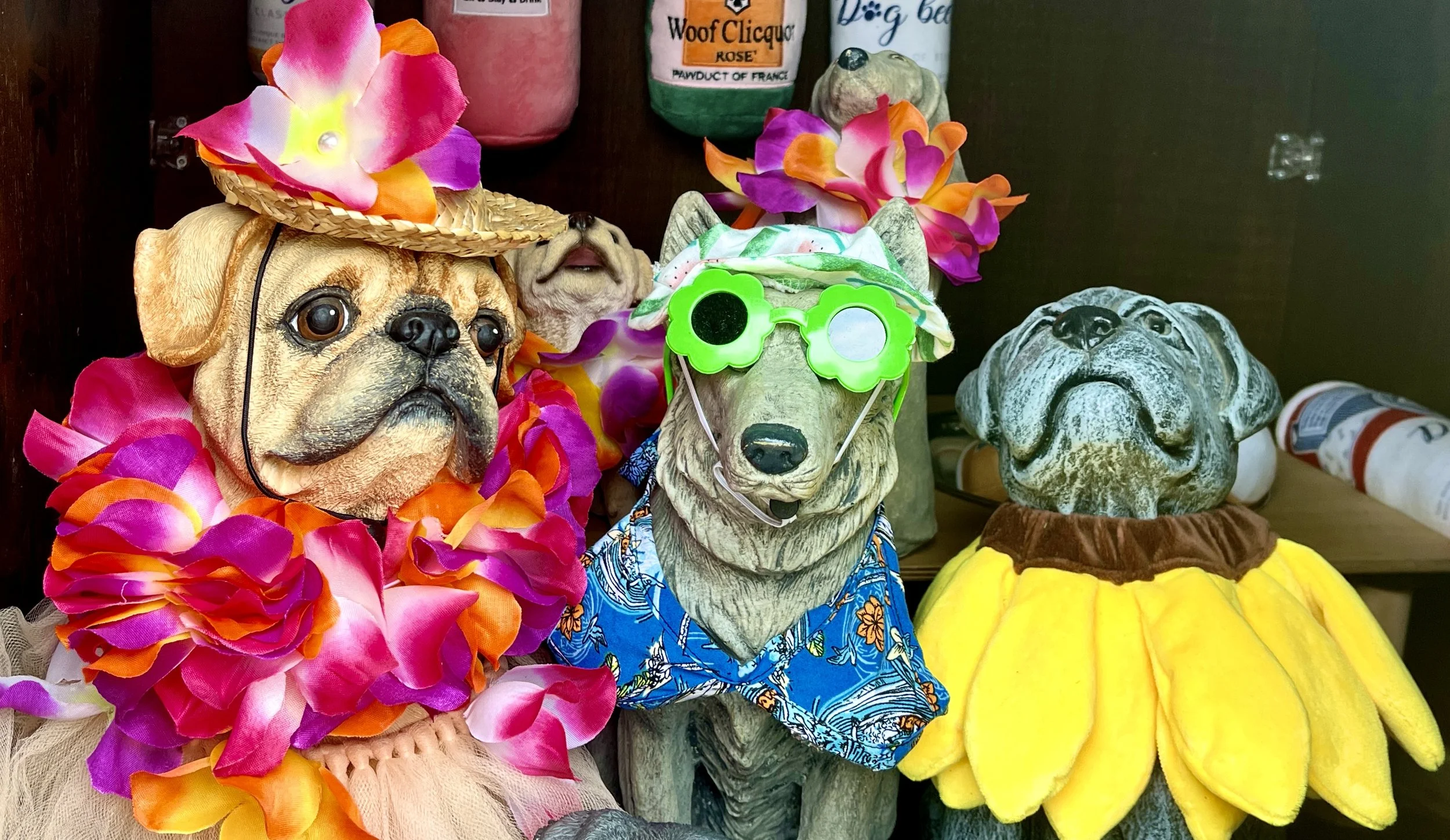 The Loop / June 13, 2023  