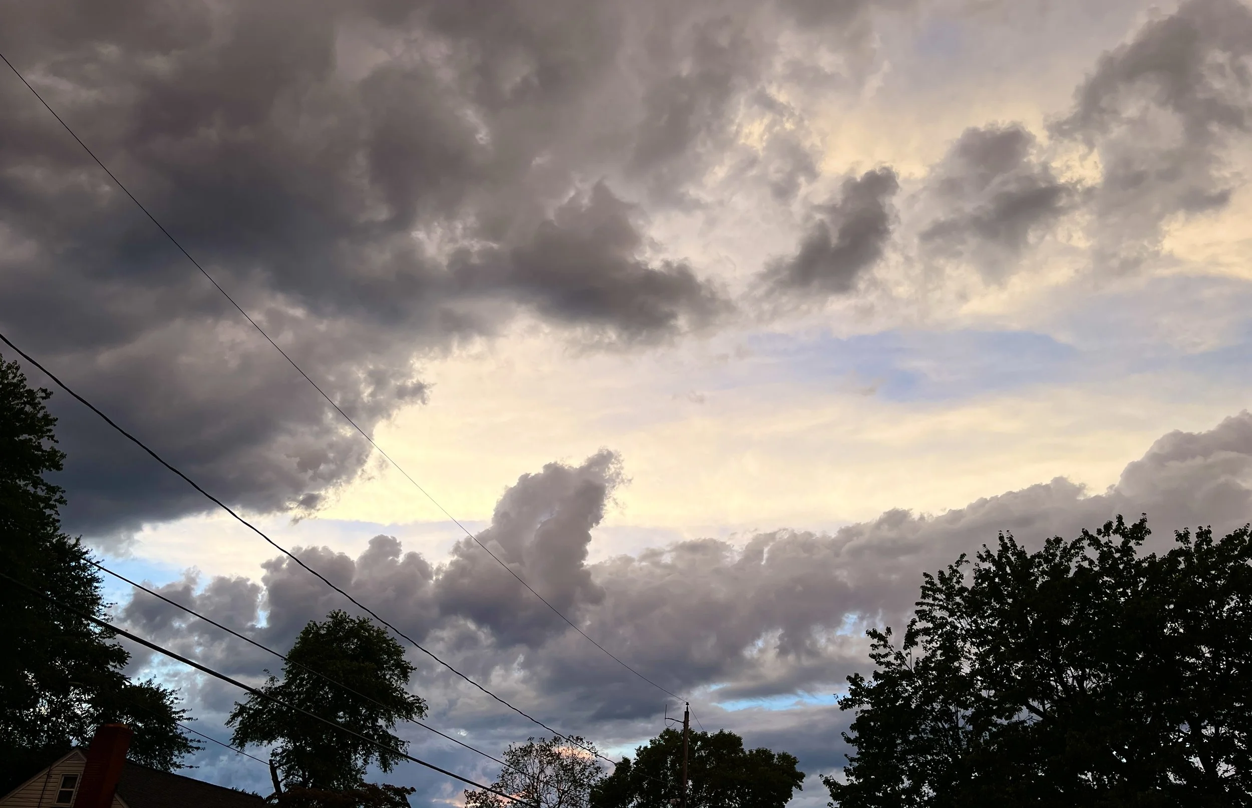 The Loop / August 15, 2023   
