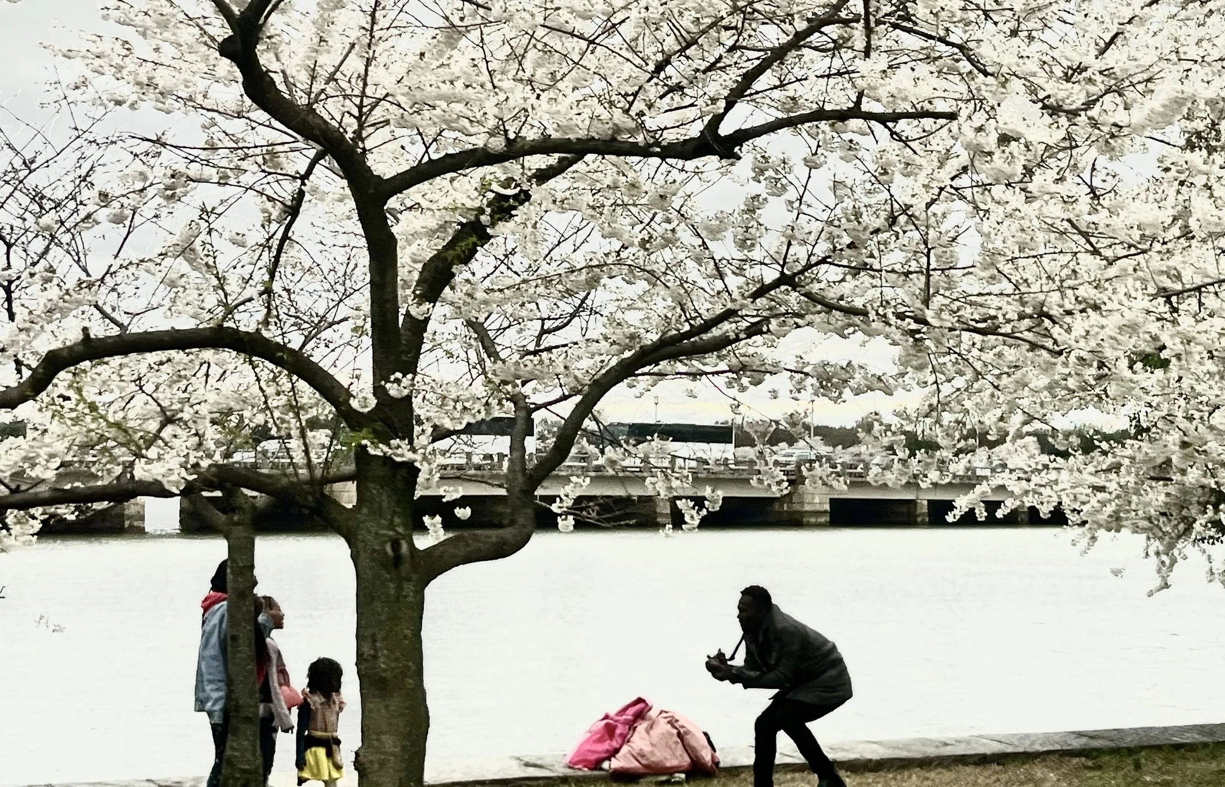 The Loop / March 26, 2024   