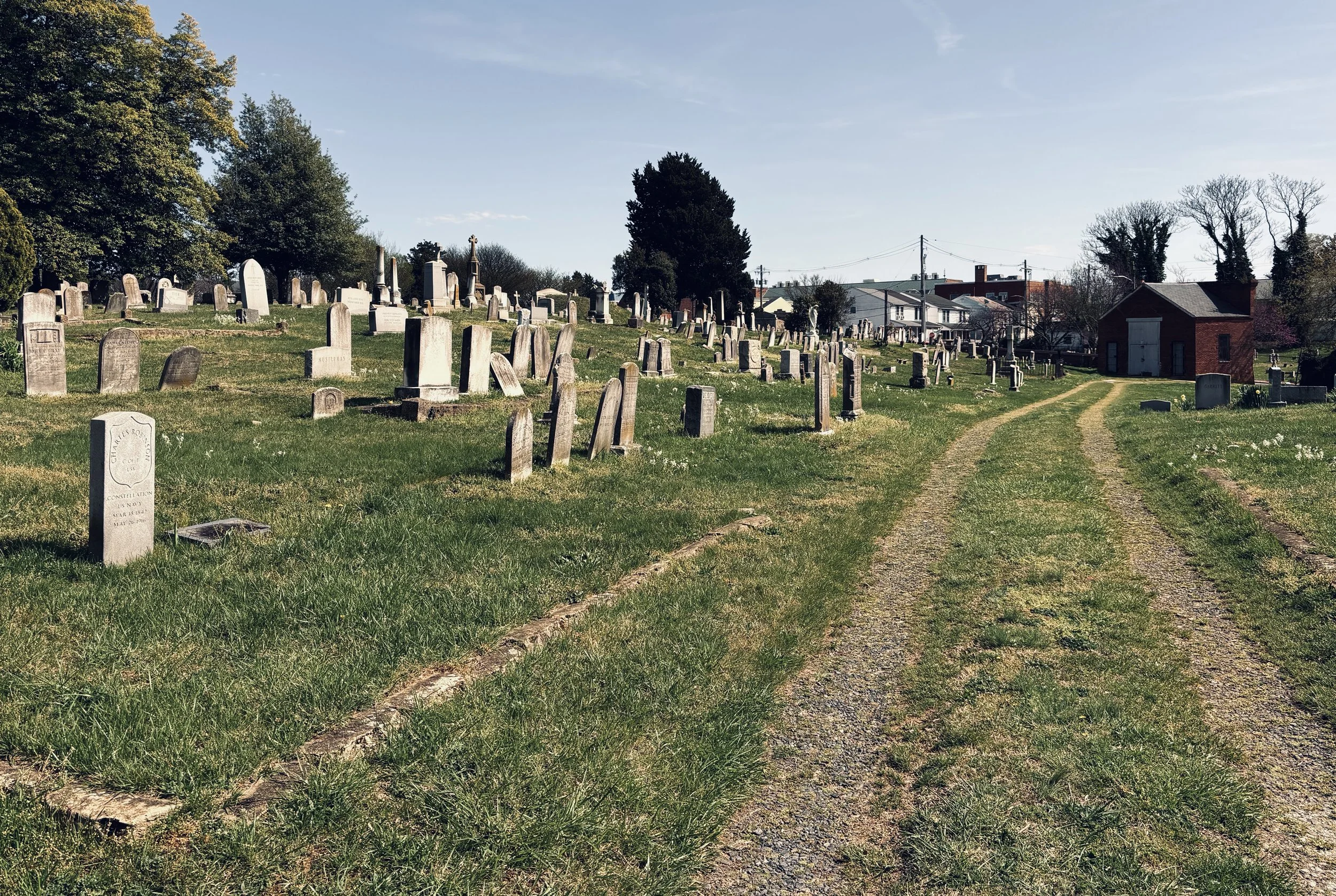 The Loop / April 9, 2024  