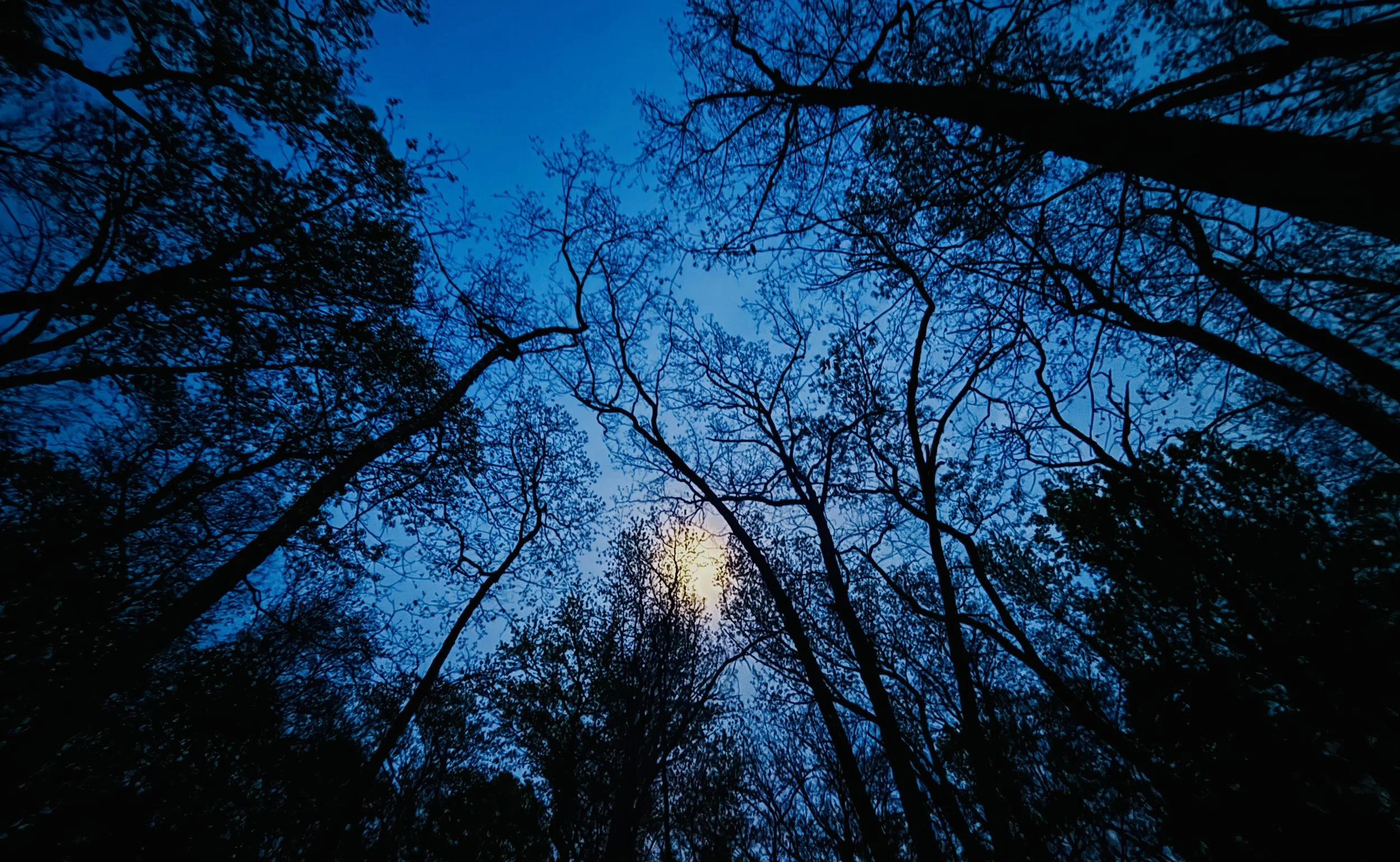 The Loop / April 23, 2024  