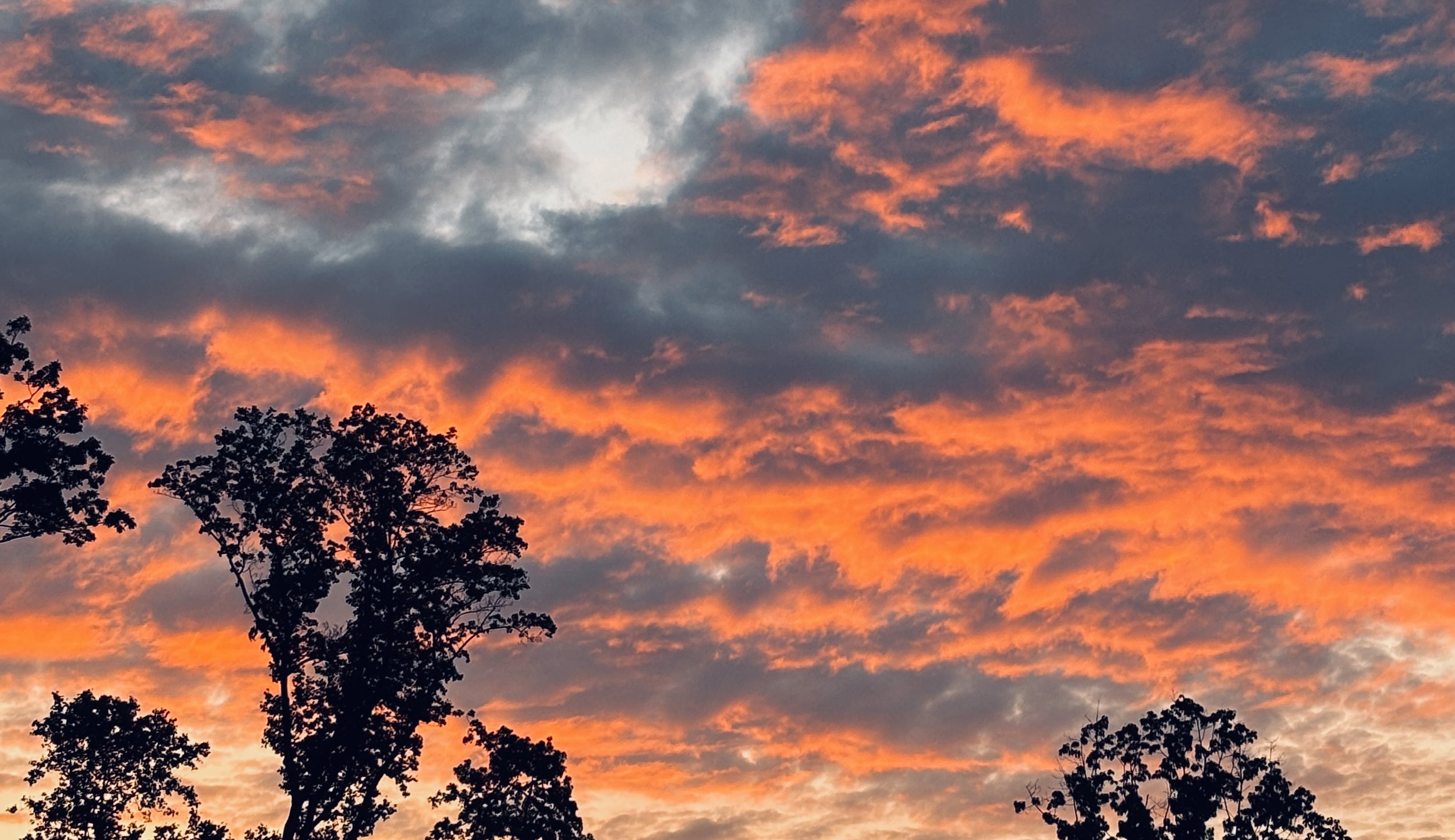 The Loop / May 28, 2024  