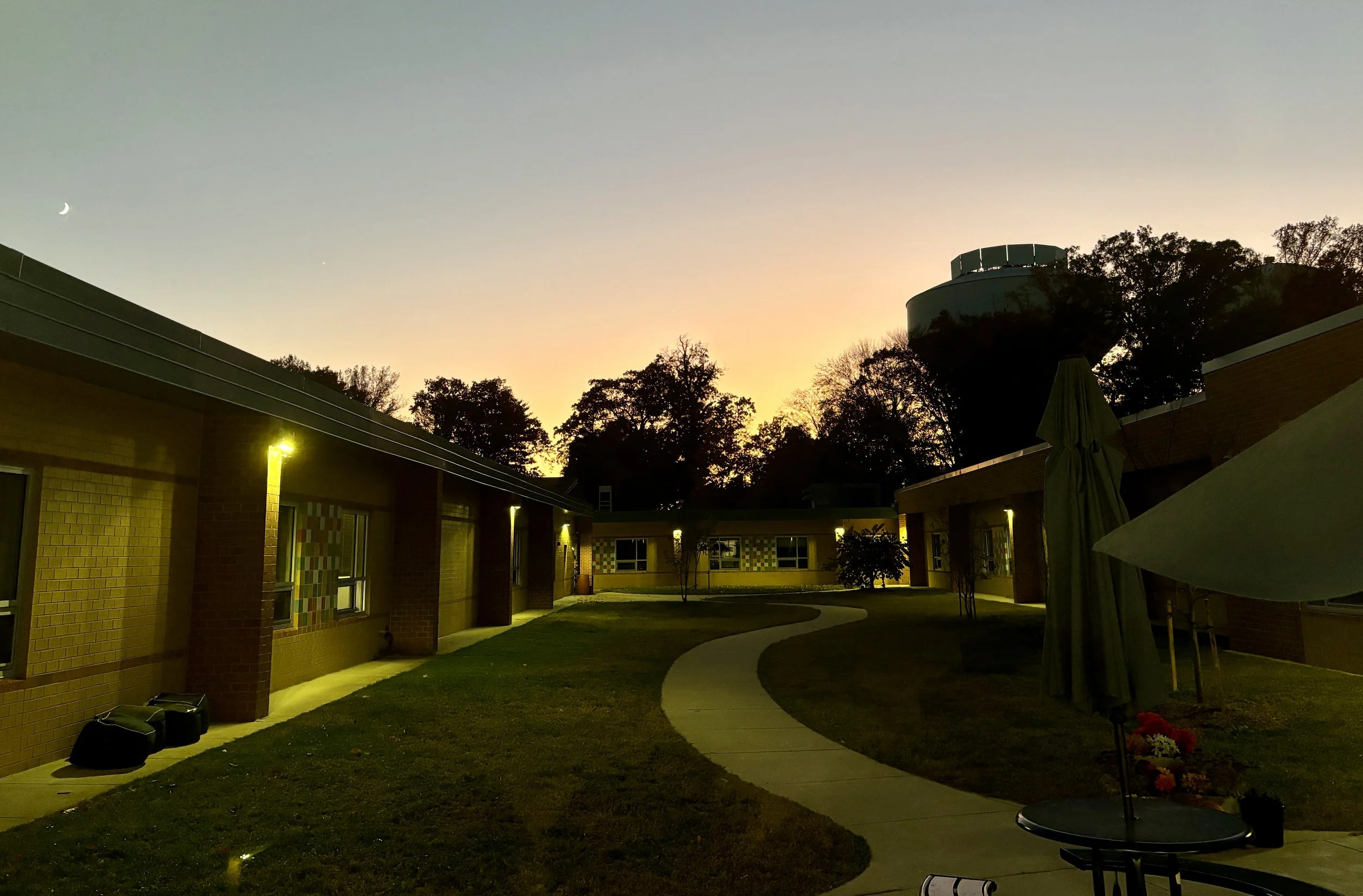 The Loop / November 12, 2024  