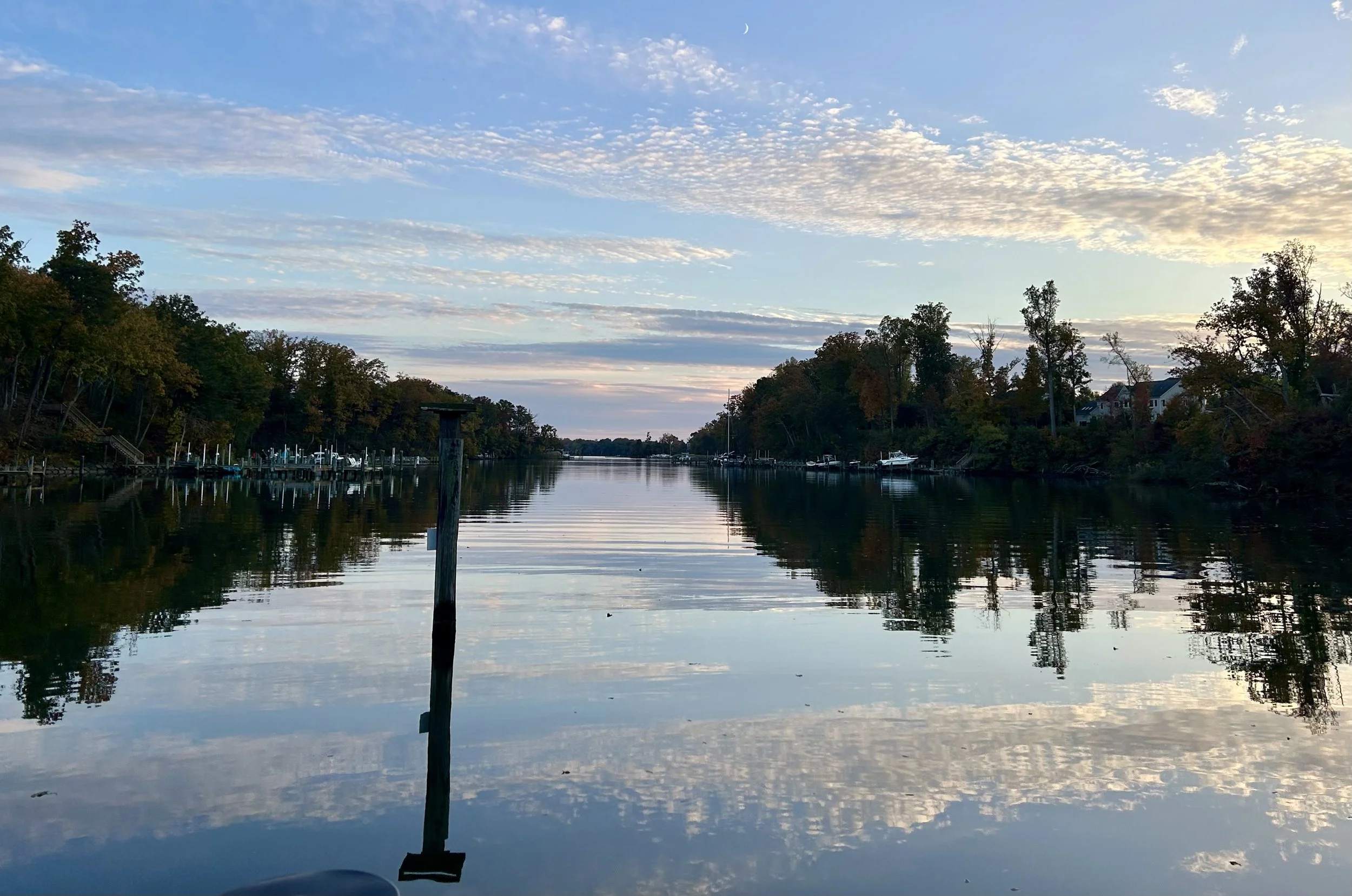 The Loop / October 28, 2025