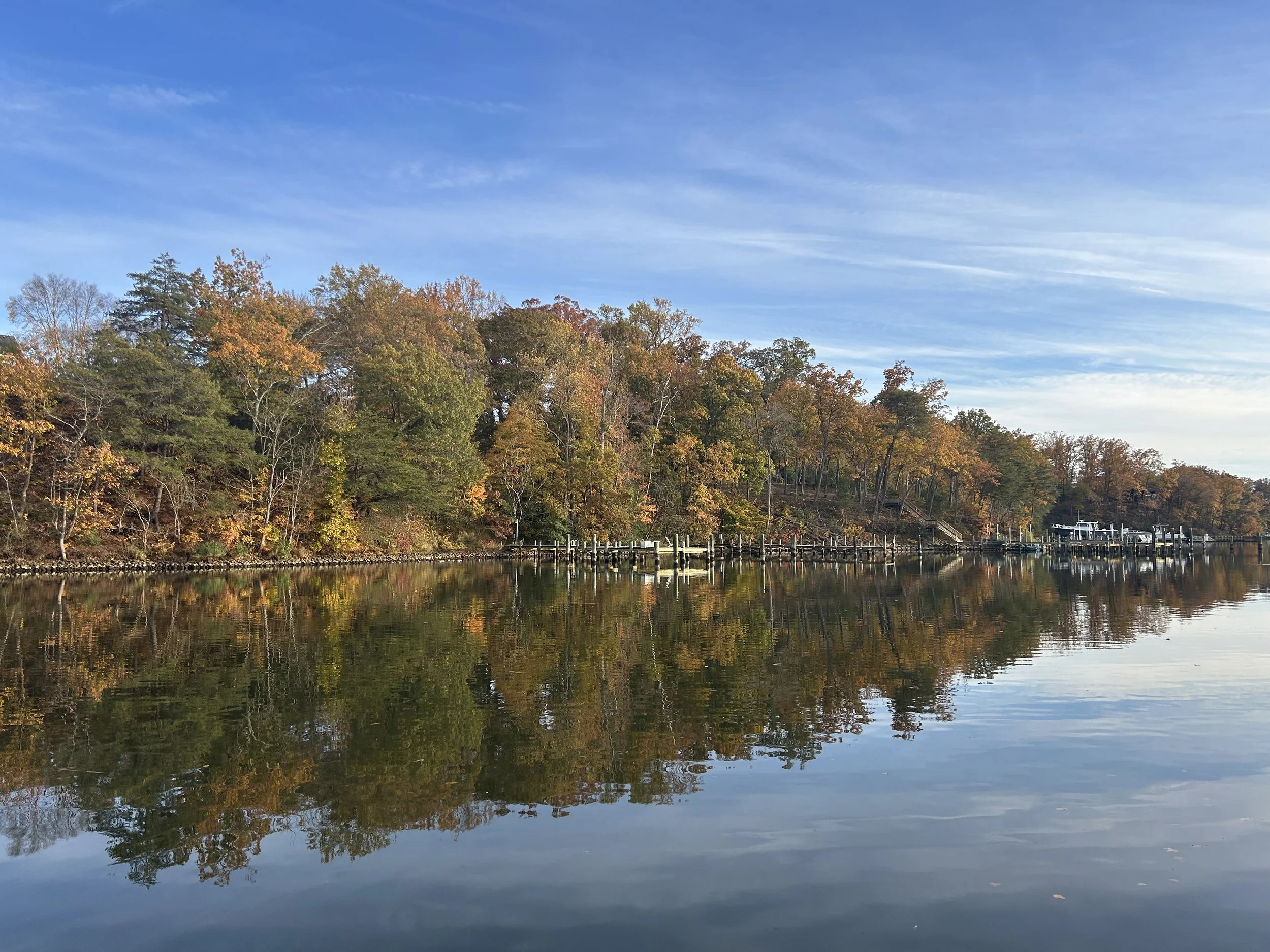 The Loop / November 4, 2025 