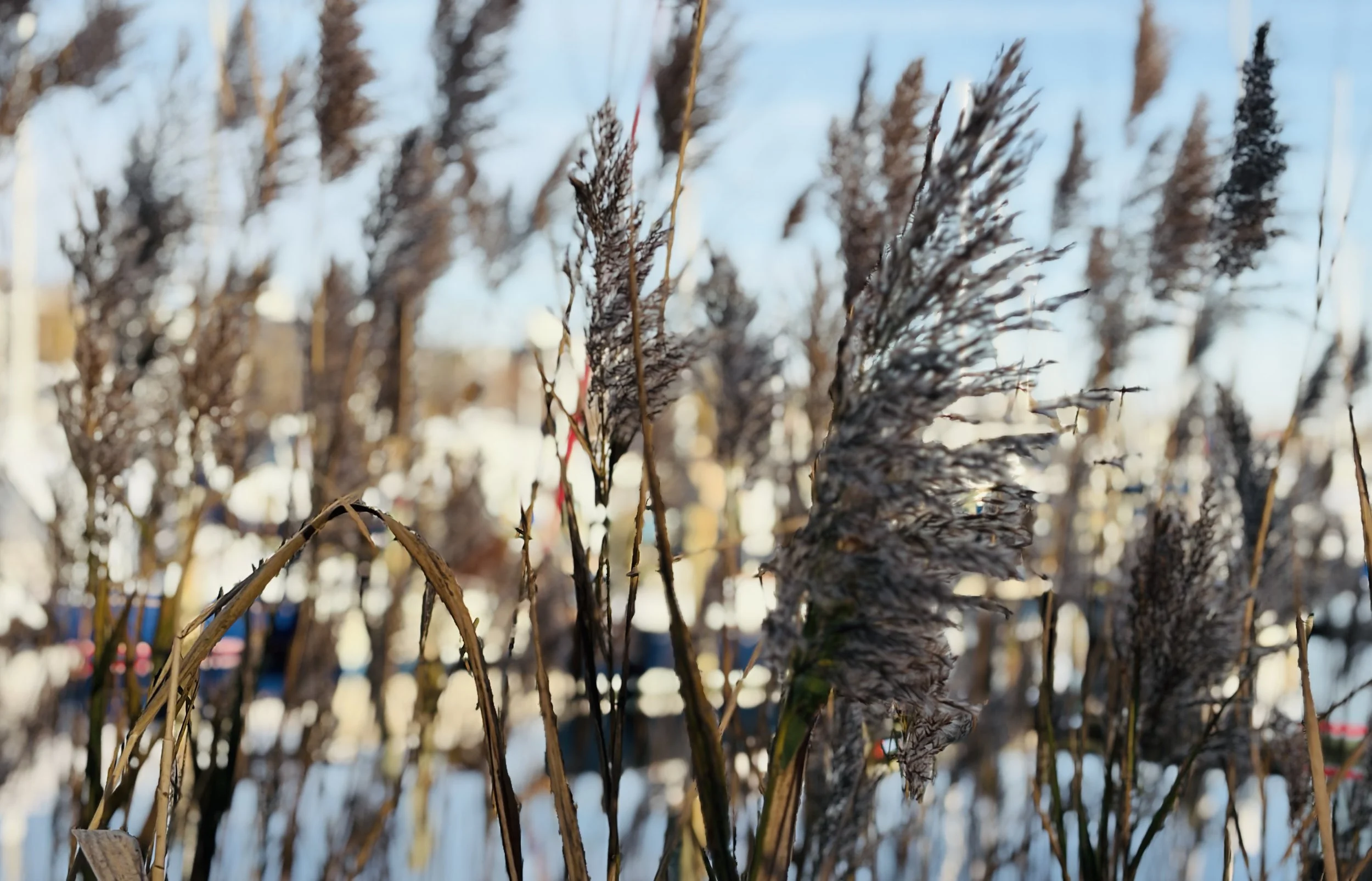 The Loop / November 25, 2025