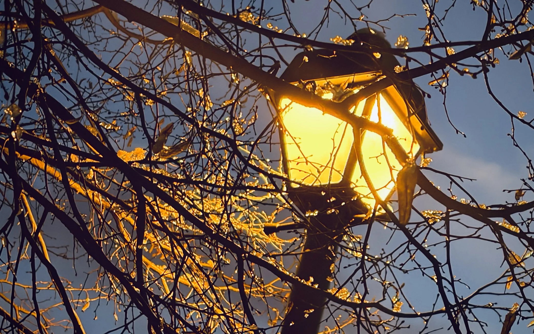 The Loop / December 23, 2025