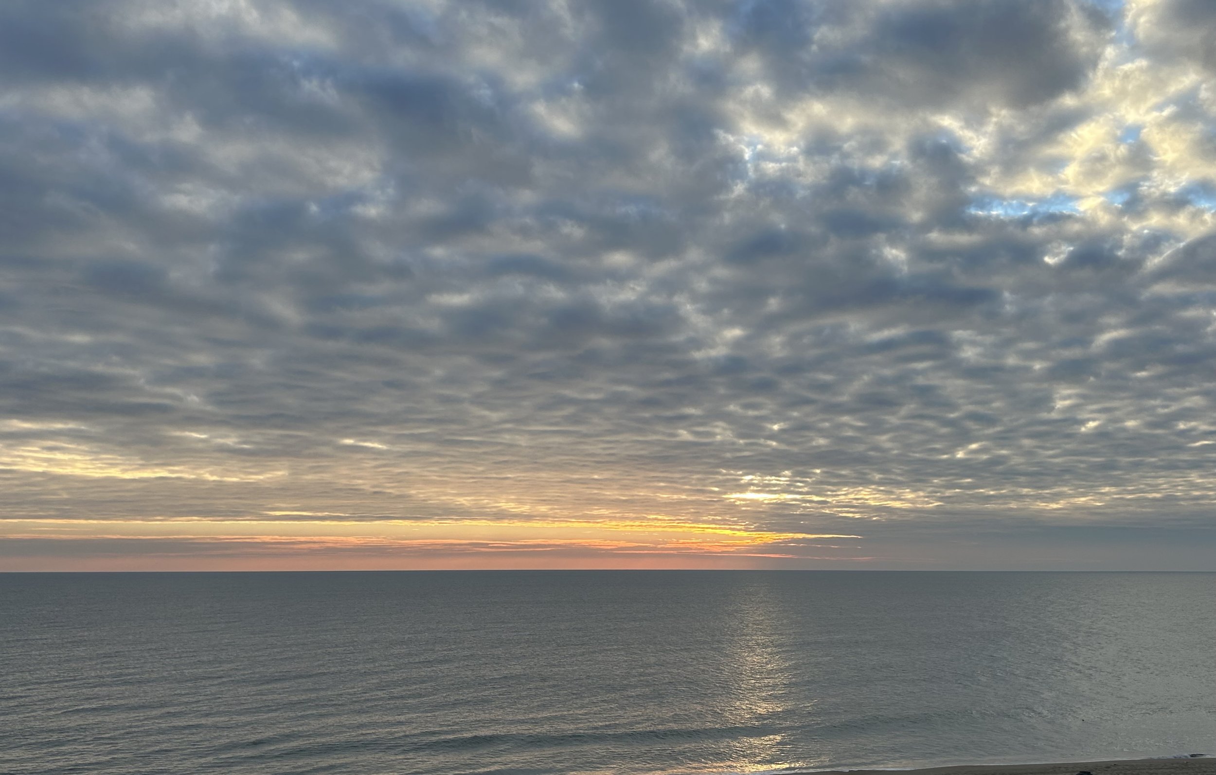 The Loop / January 13, 2026