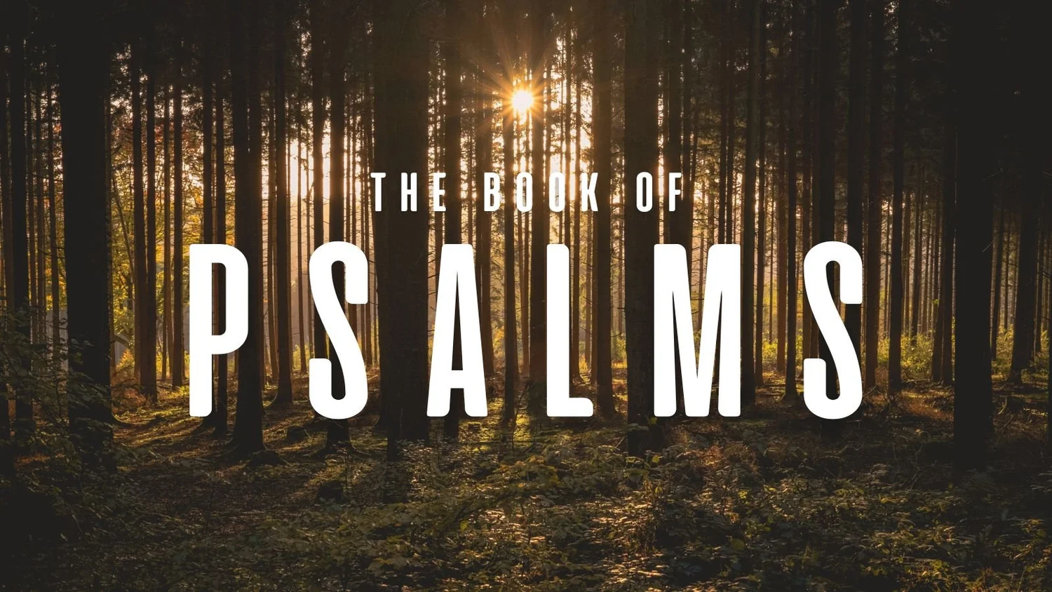 2.8.26 - Reading the Psalms, Searching for Hope (Kenny Camacho) 2.8.26 - Reading the Psalms, Searching for Hope (Kenny Camacho)