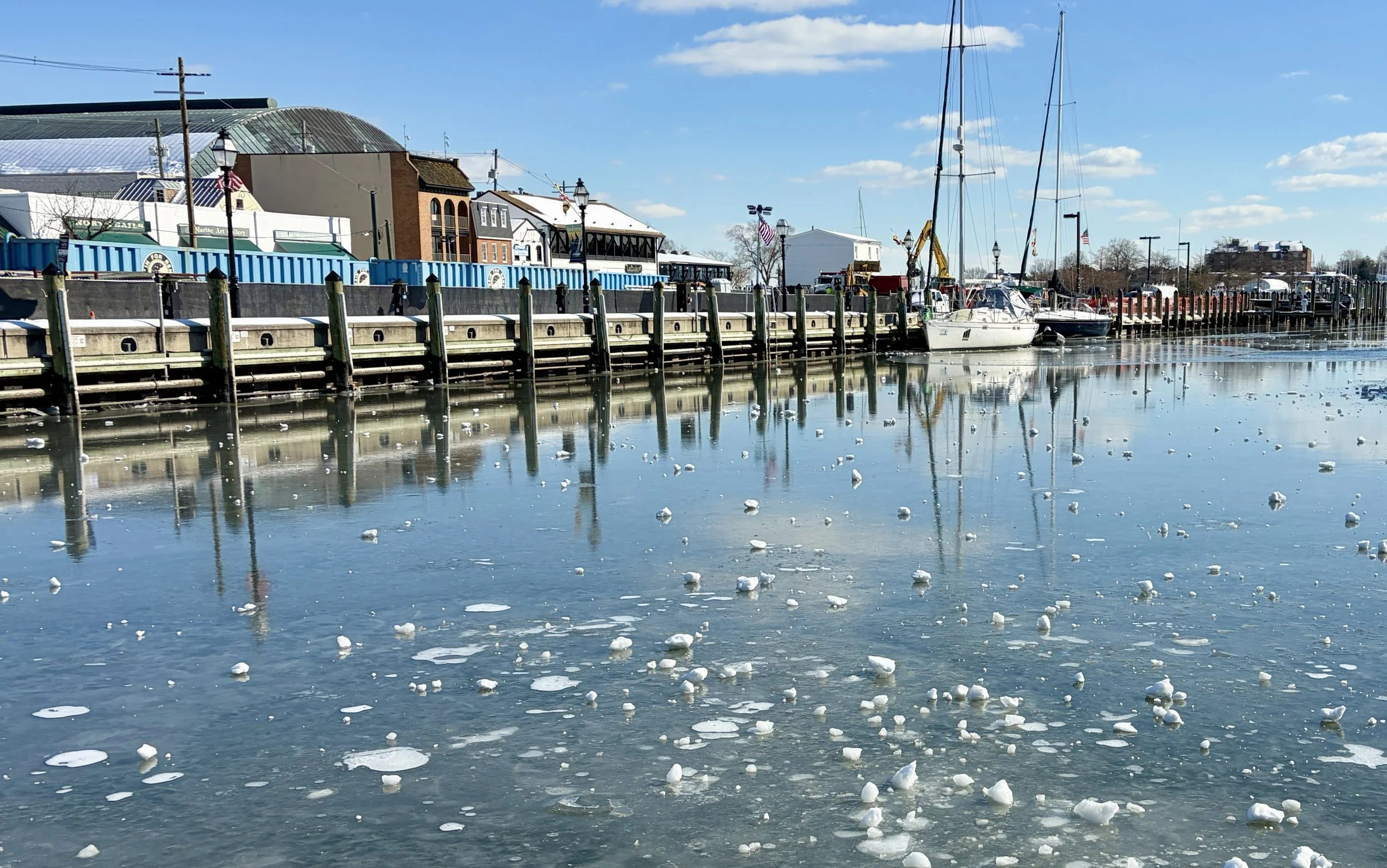 The Loop / February 17, 2026