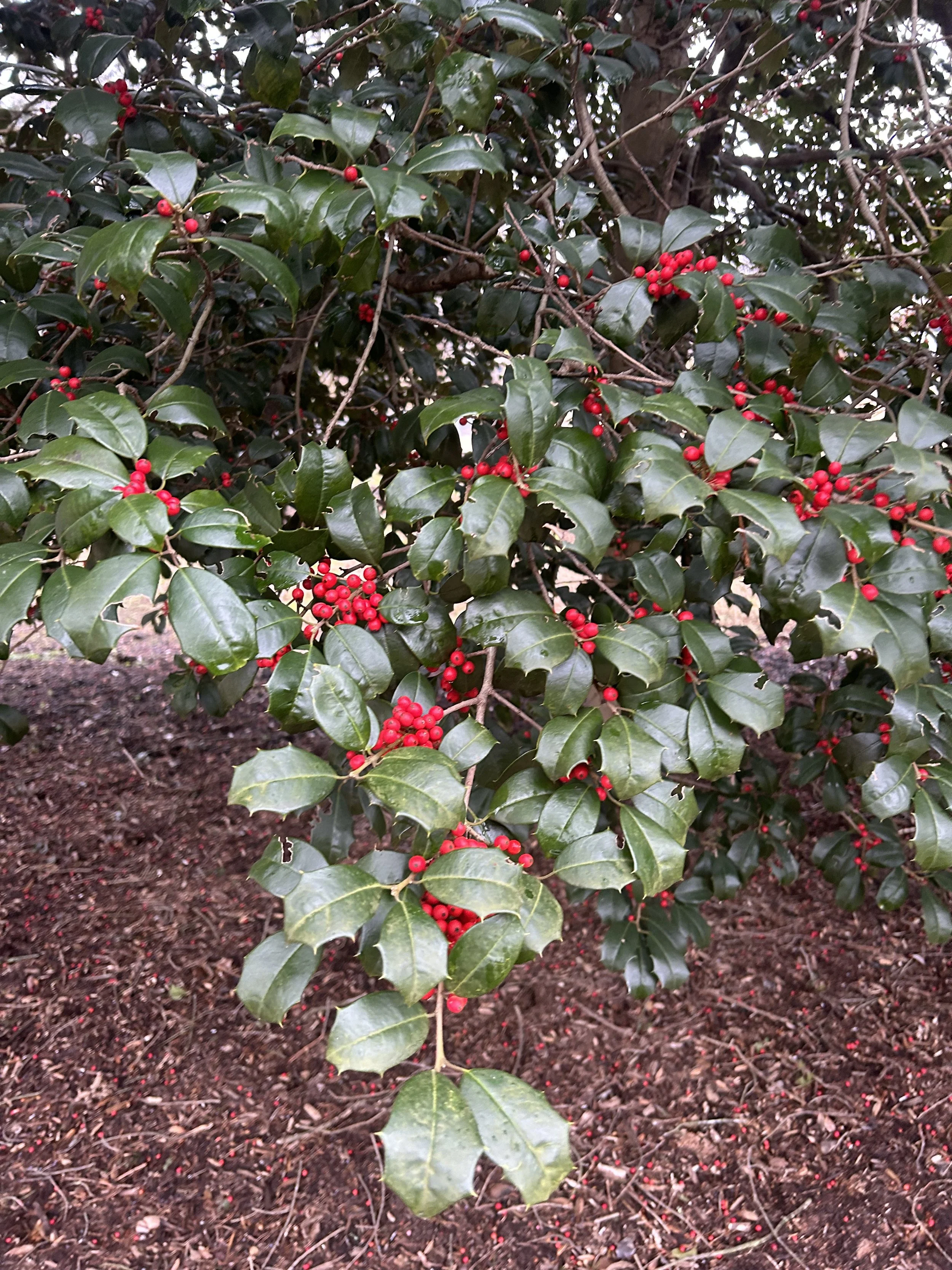 The Loop / March 10, 2026