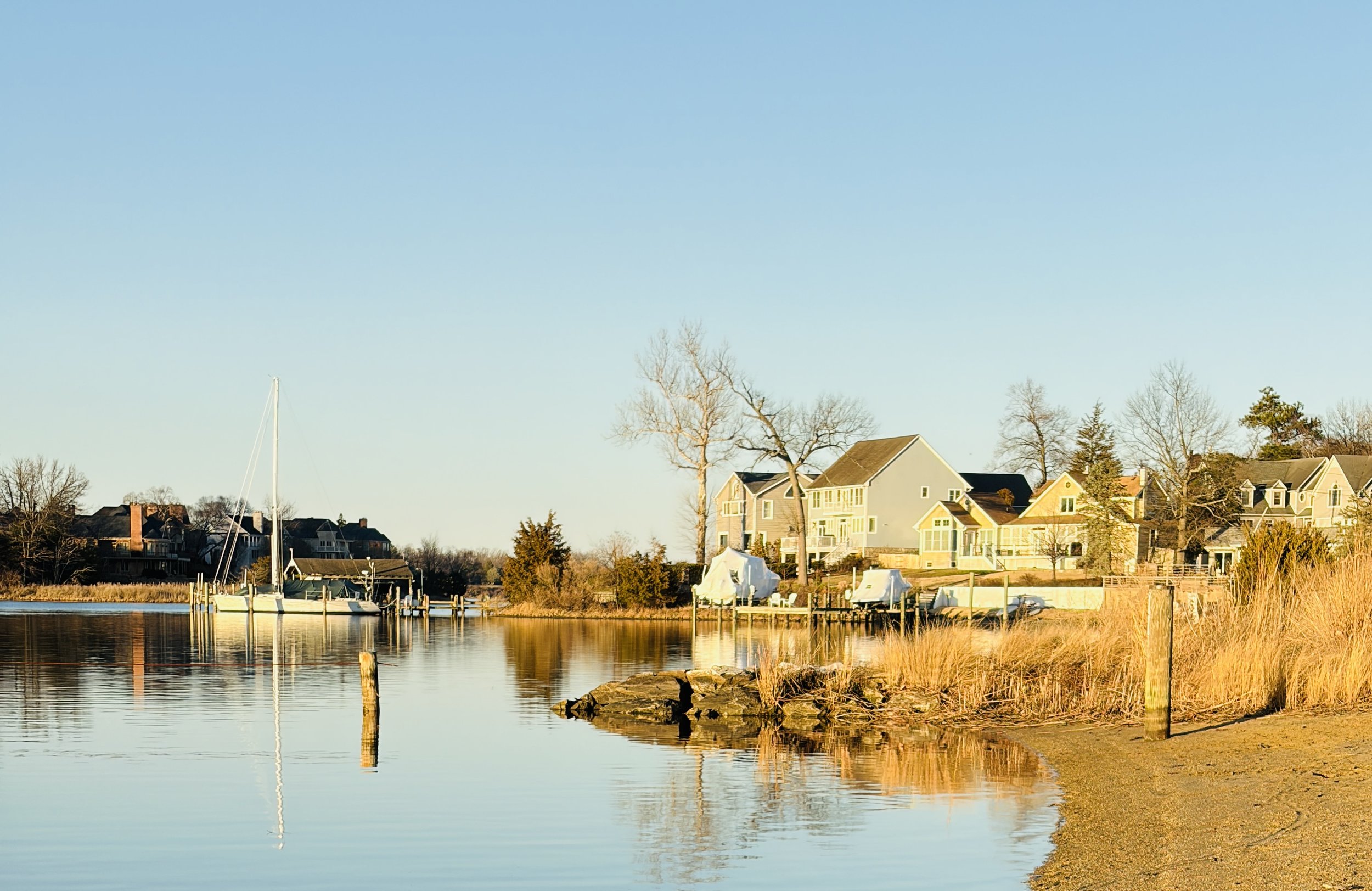 The Loop / March 24, 2026