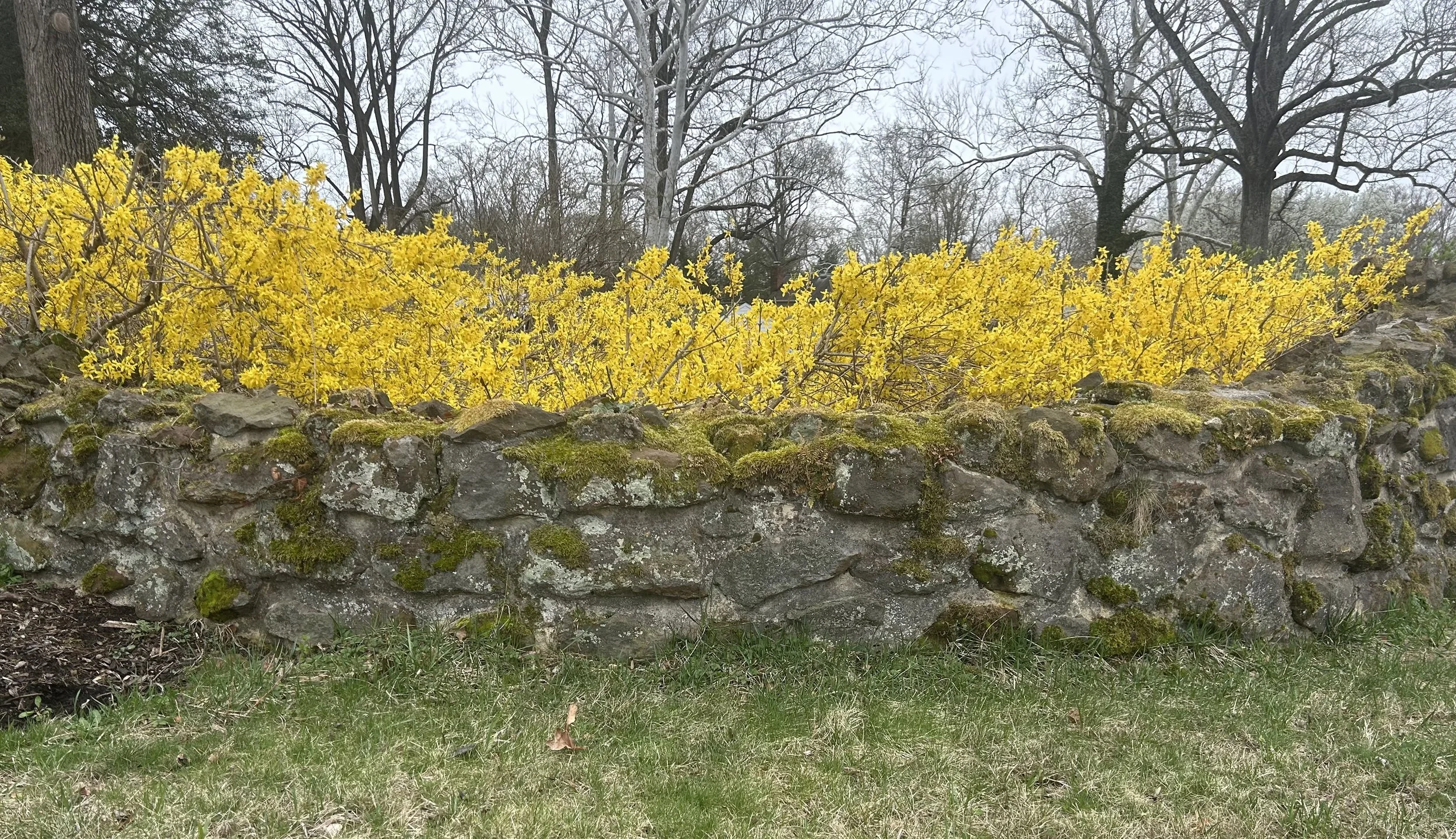 The Loop / March 31, 2026